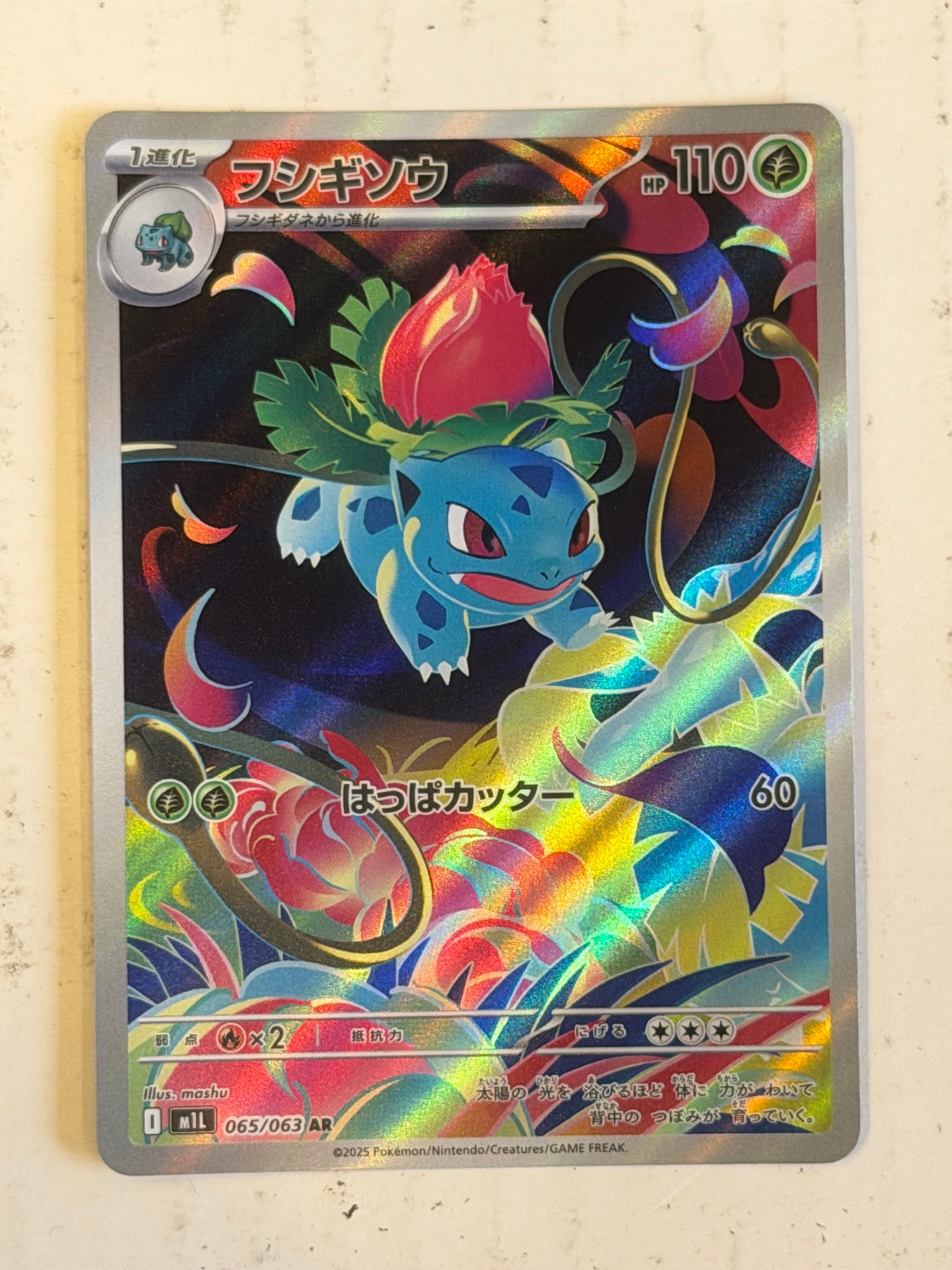 【PSA10】フシギソウ AR 3連番 メガブレイブ 065/063 フシギソウ AR [M1L 065/063](拡張パック「メガブレイブ」)通販・買取