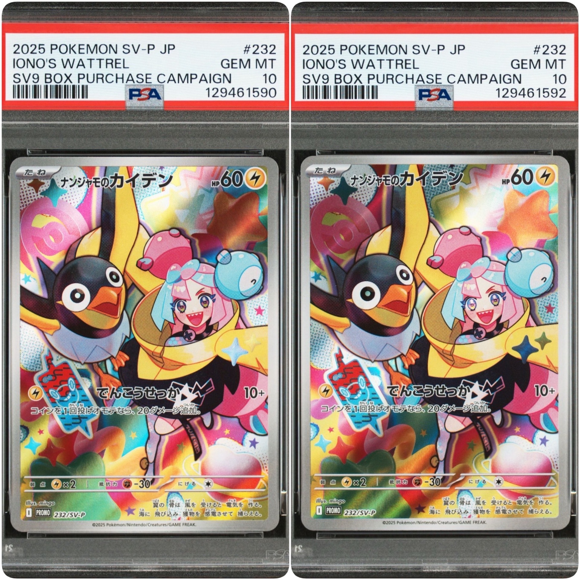ナンジャモのカイデン P [SV-P 232](プロモーションカード「拡張パック バトルパートナーズ Box購入キャンペーン」)