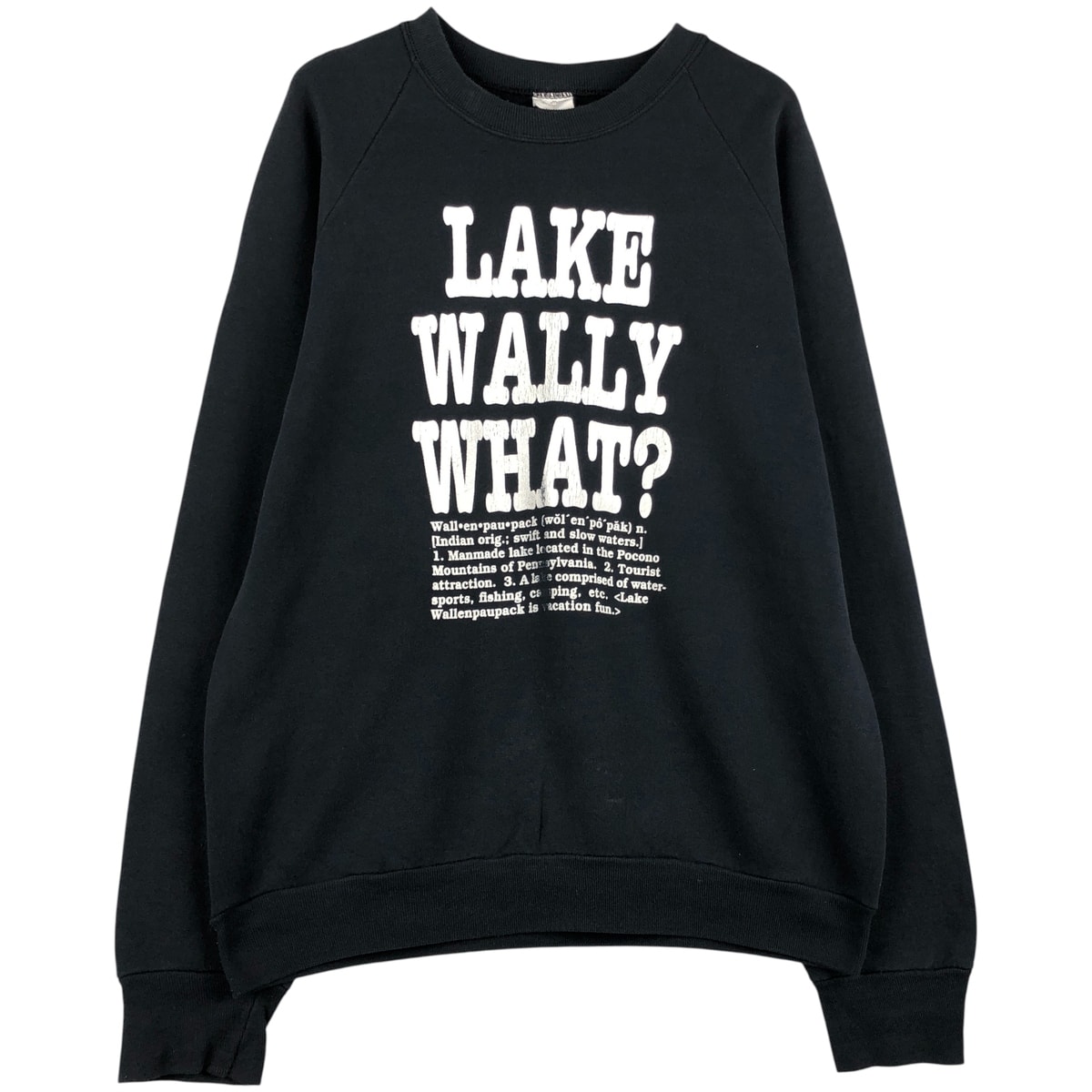 古着 80年代 フルーツオブザルーム FRUIT OF THE LOOM プリントスウェットシャツ トレーナー メンズL相当 ヴィンテージ/eaa482242