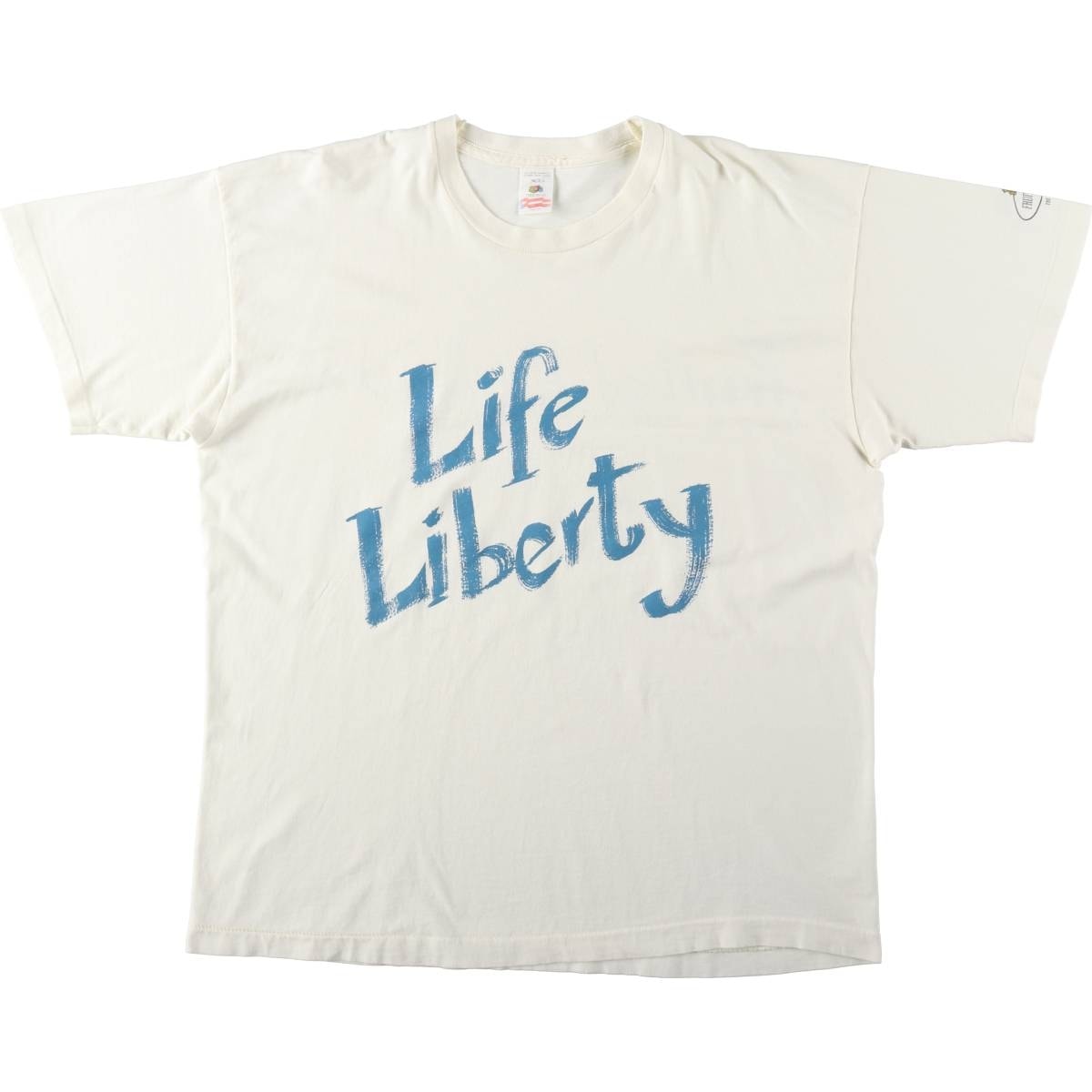 古着 90年代 フルーツオブザルーム FRUIT OF THE LOOM プリントTシャツ メンズXL相当 ヴィンテージ/eaa661392