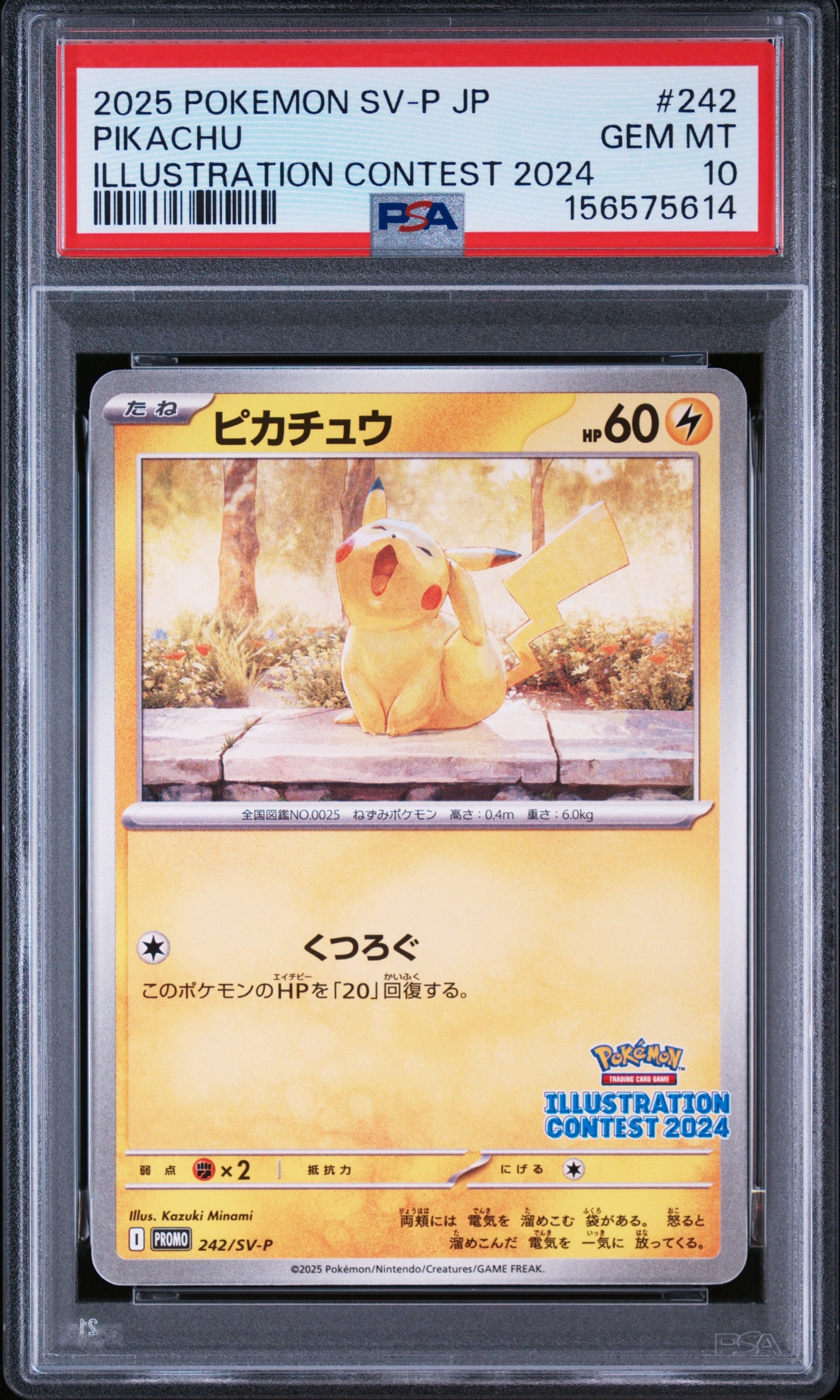 ピカチュウ [SV-P 242](プロモカードパック「イラストレーション