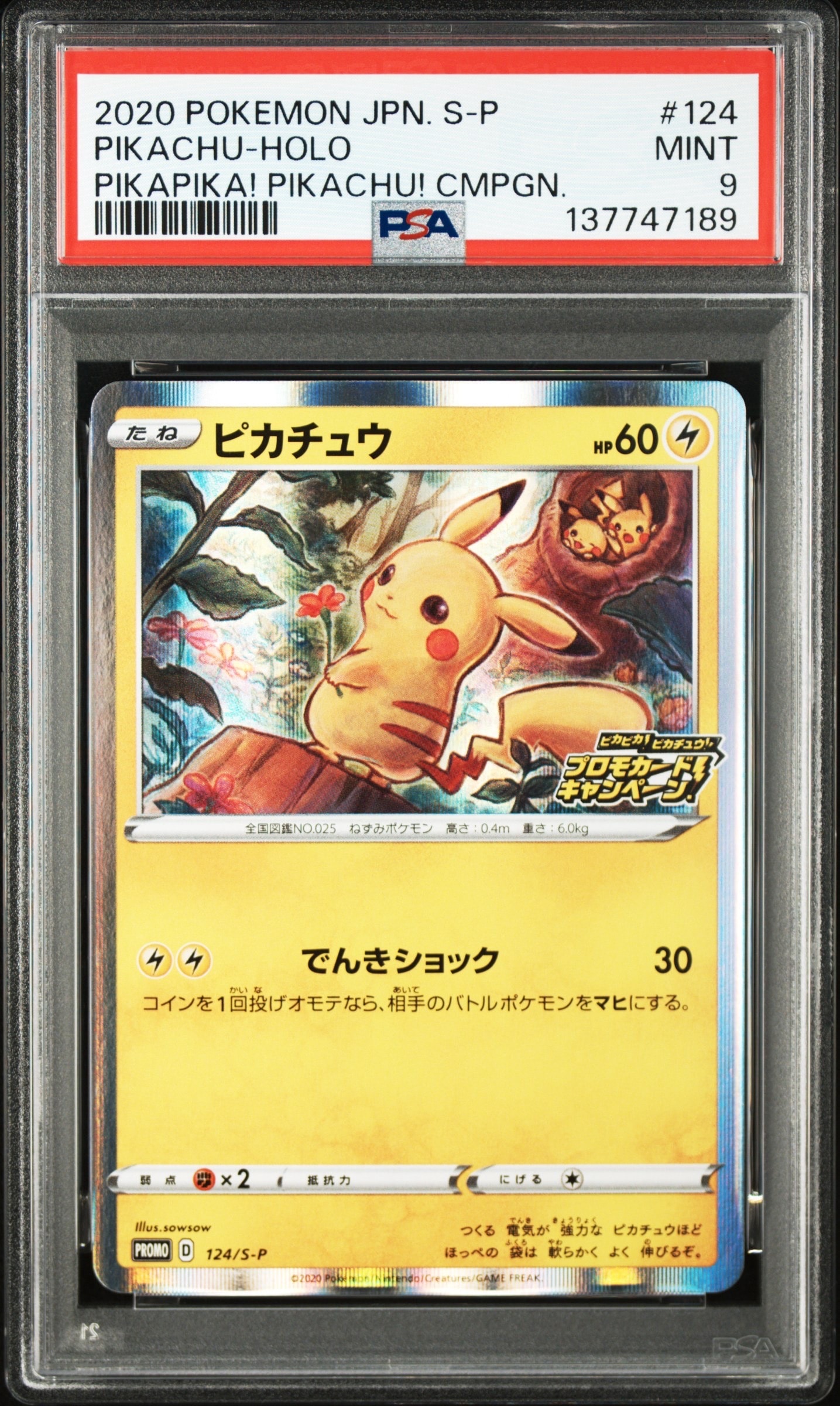 ピカチュウ: プロモ P [S-P 124](ピカピカ!ピカチュウ!プロモカードキャンペーン)