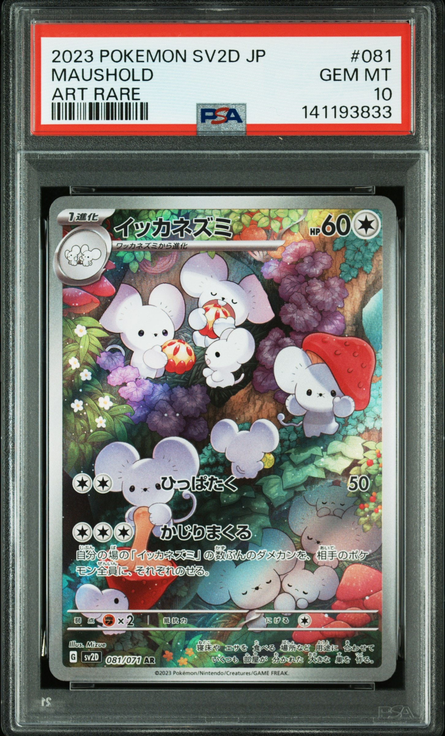 イッカネズミ AR[SV2D 081/071](拡張パック「クレイバースト」)の新品