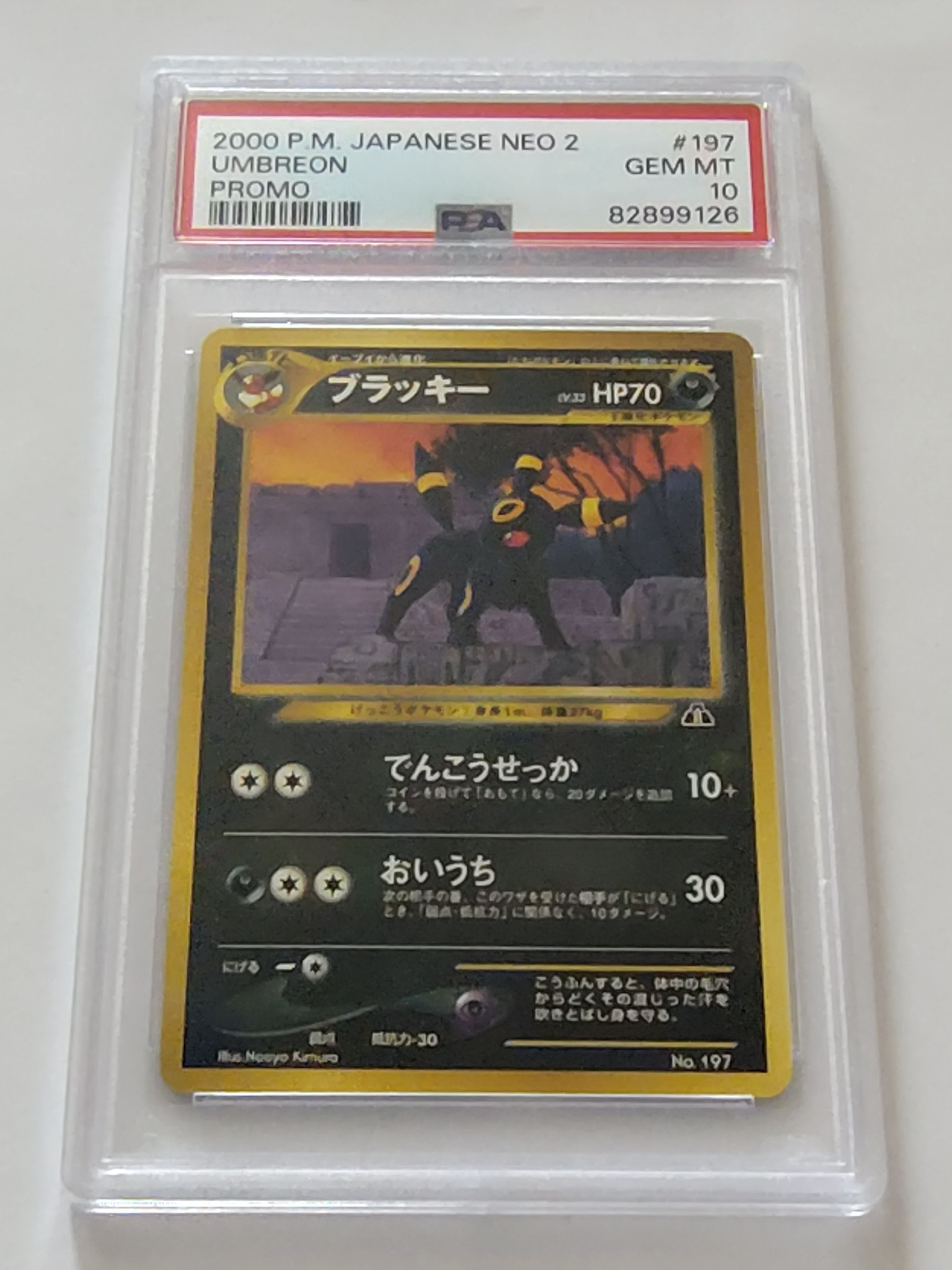 ブラッキープレミアムファイル2: 旧裏[neoP2 No.197](プレミアムファイル2)