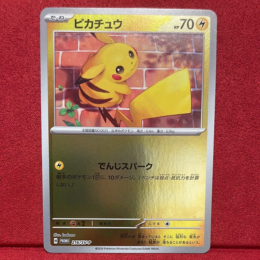 ピカチュウ P [SV-P 216](プロモカードパック「ポケカの夏がキタ!プロモカードGetキャンペーン!」)