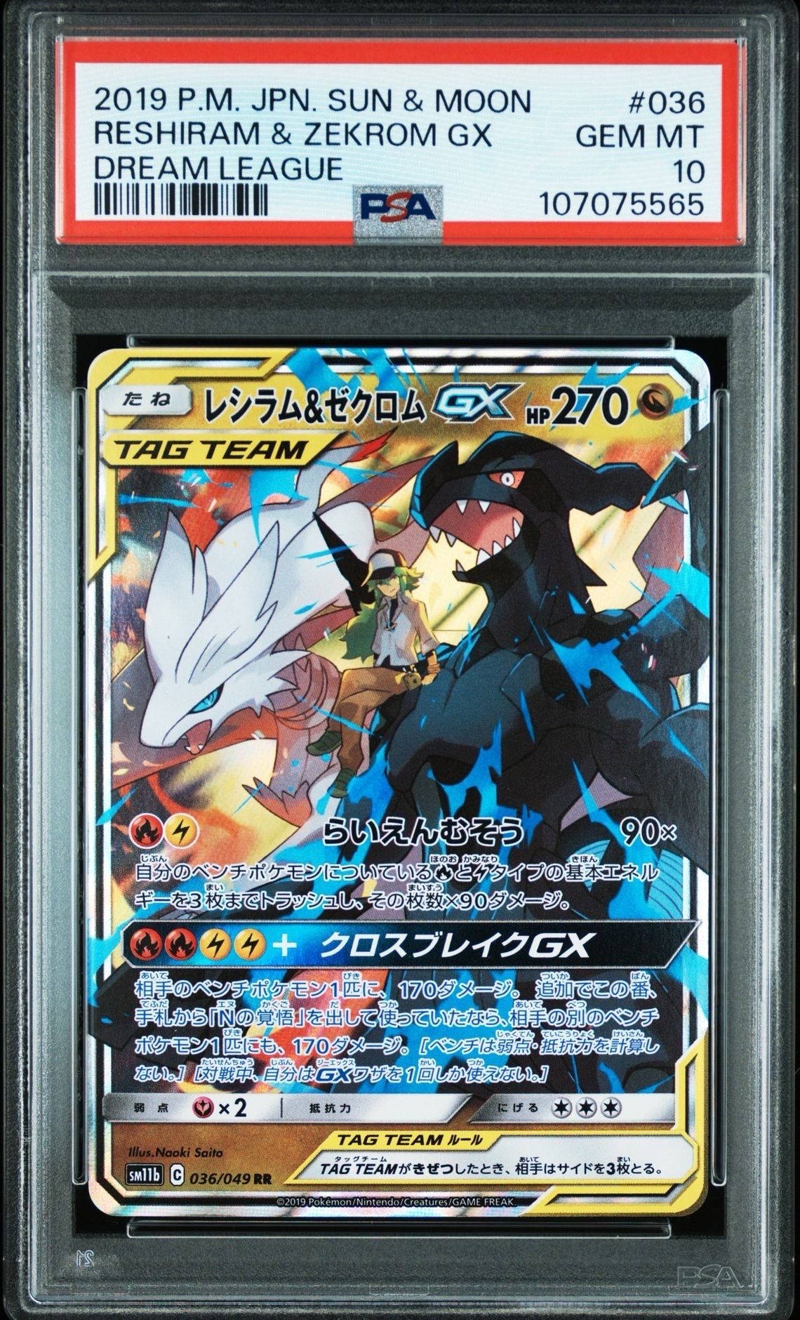 レシラム&ゼクロムGX (N) RR[SM11b 036/049](強化拡張パック「ドリームリーグ」)