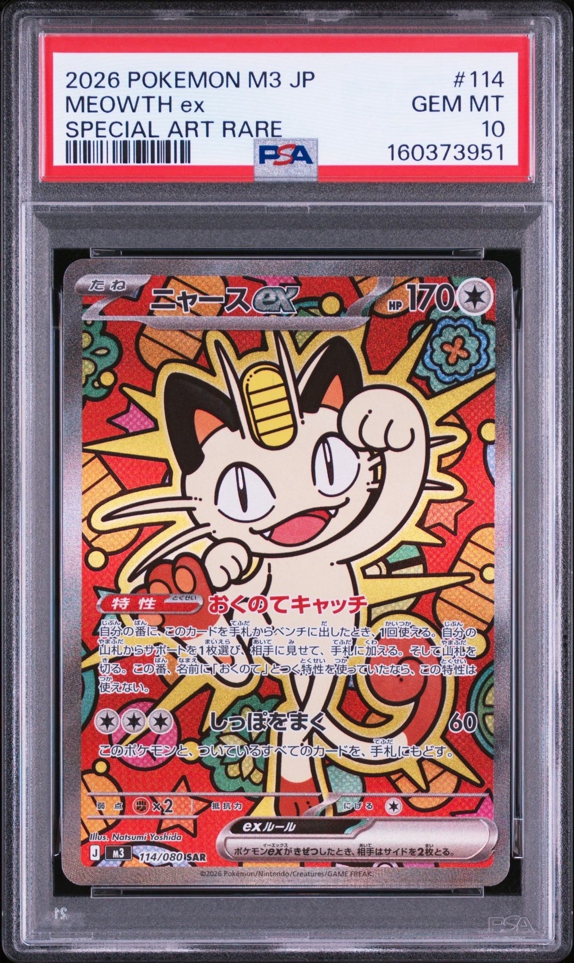 ピカチュウ P [BW-P 229/BW-P](プロモーションカード「ポケモン