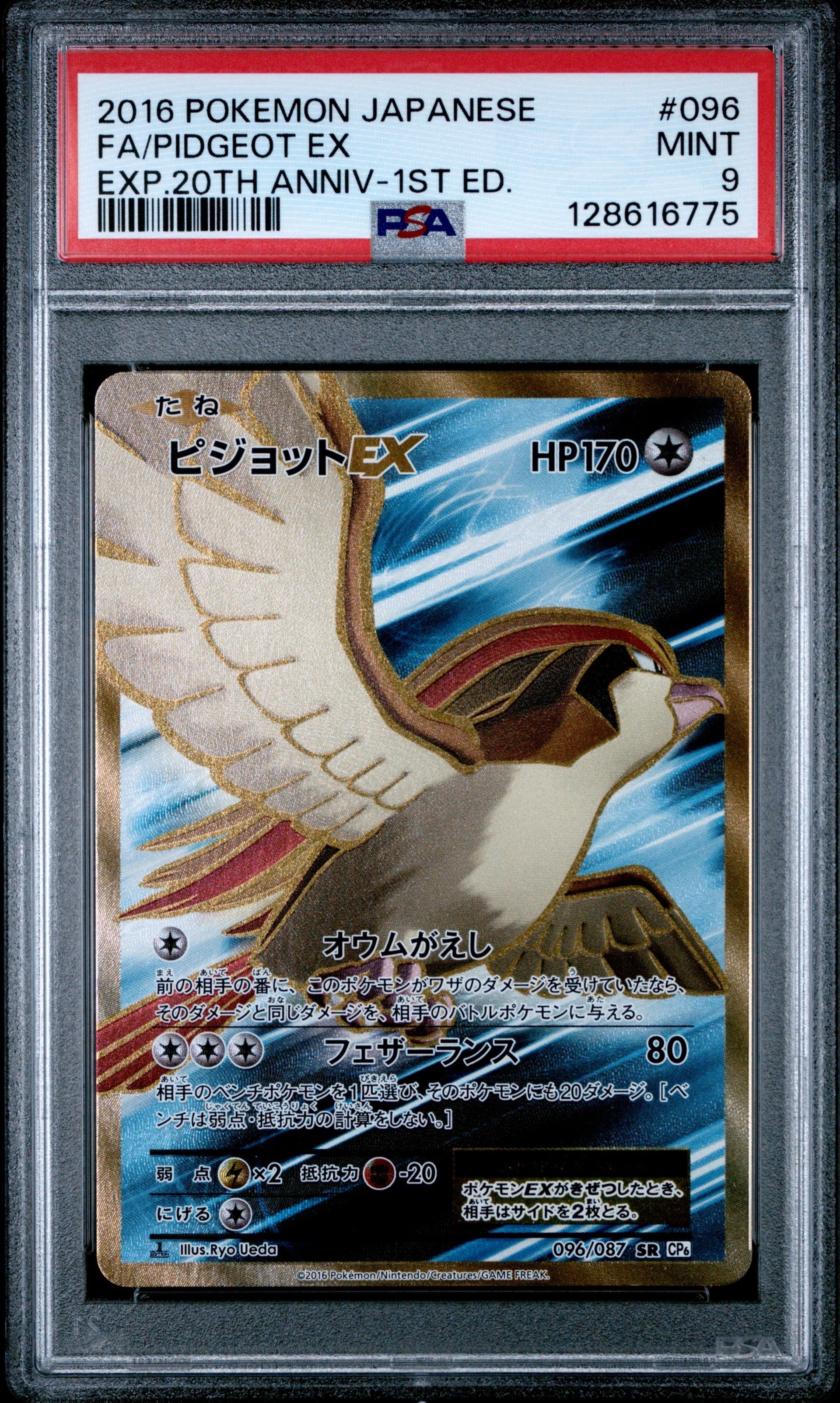ピジョットEX SR :1ED [CP6 096/087](コンセプトパック「ポケットモンスターカードゲーム 拡張パック 20th Anniversary」)