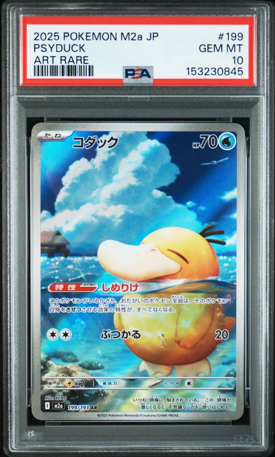コダック AR [M2a 199/193](ハイクラスパック「MEGAドリームex」)