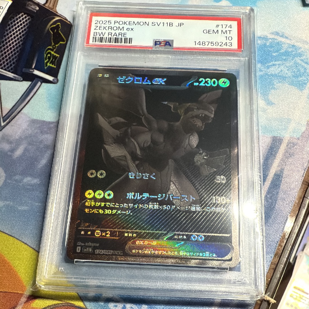 ゼクロムex BWR [SV11B 174/086](拡張パック「ブラックボルト」)の新品