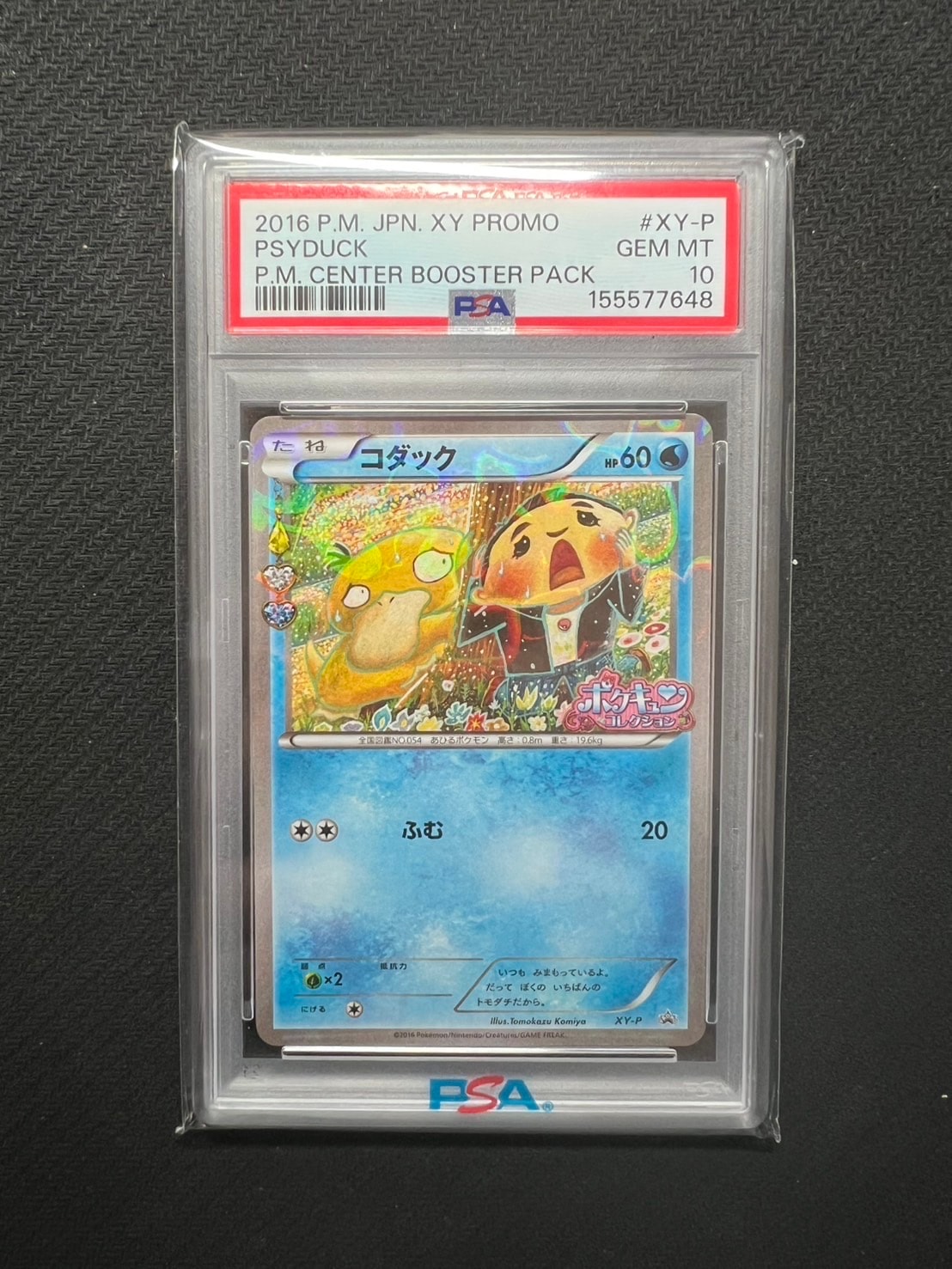コダック: プロモ[XY-P](プロモーションカード「XY-P」)の新品/中古