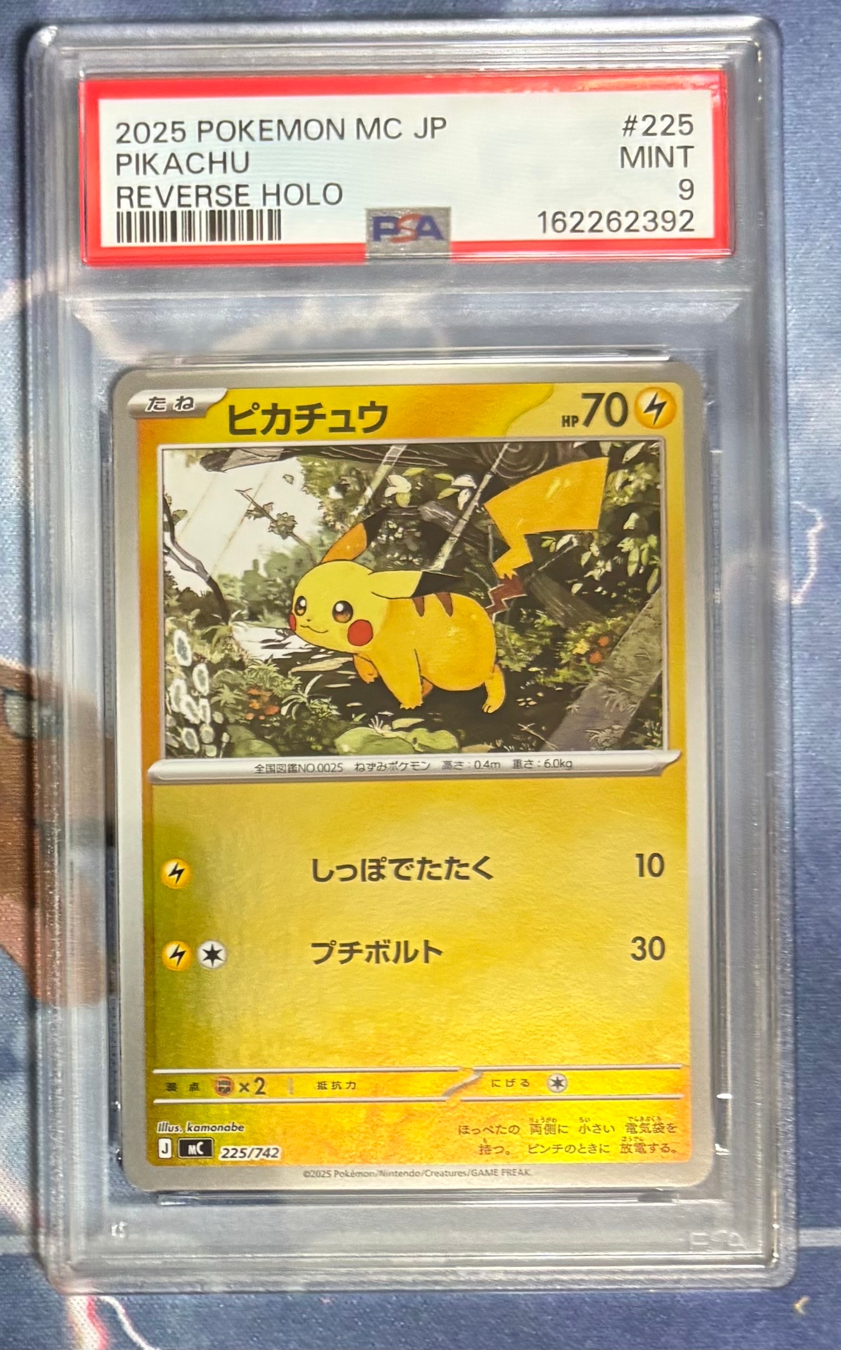 リザードン&テールナーGX SR[SM11a 067/064](強化拡張パック