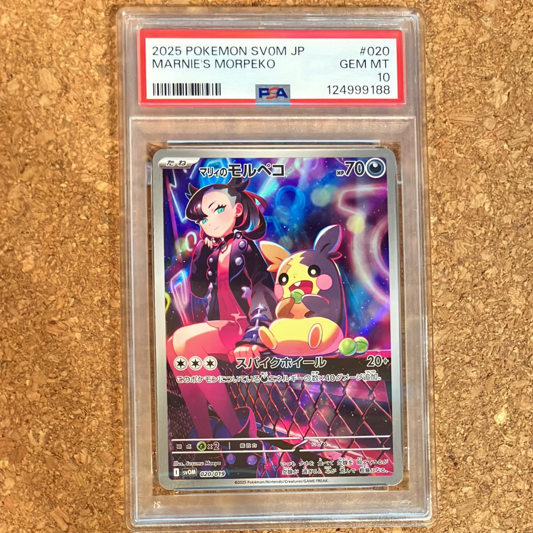 マリィのモルペコ [SVOM 020/019](スターターセットex「マリィのモルペコ＆オーロンゲex」)