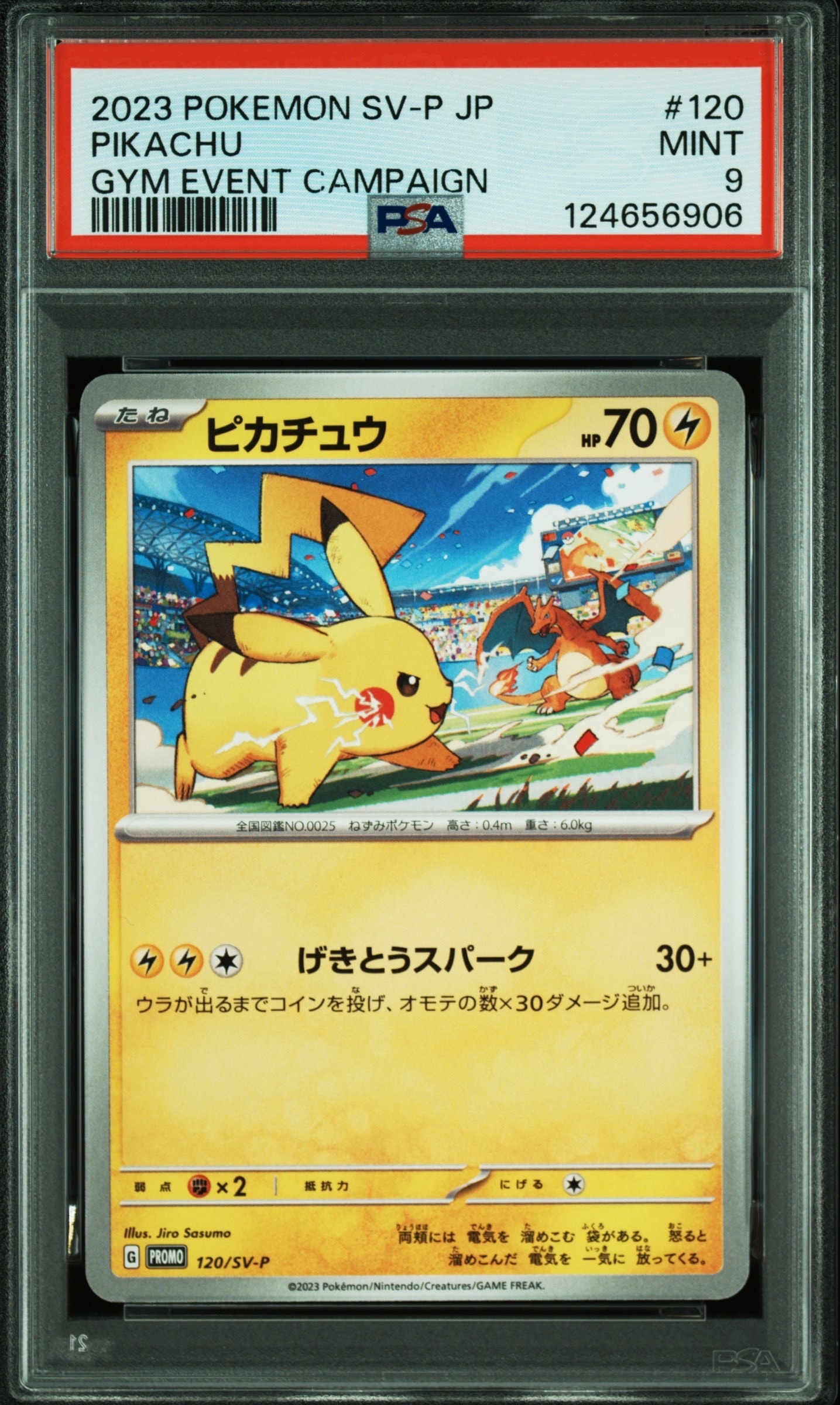 【鑑定品】 PSA10 ミュウツーE X 050/131 プレミアムチャンピオン 鑑定品】 PSA10 ミュウツーE X 050/131 プレミアムチャンピオンパック