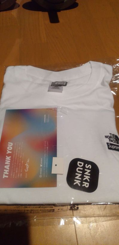 Supreme x The North Face Bandana Tee "White"