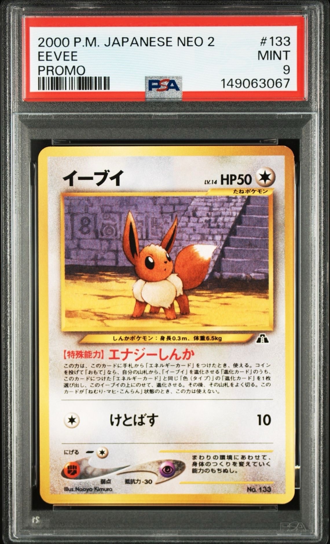 イーブイプレミアムファイル2: 旧裏[neoP2 No.133](プレミアムファイル2)