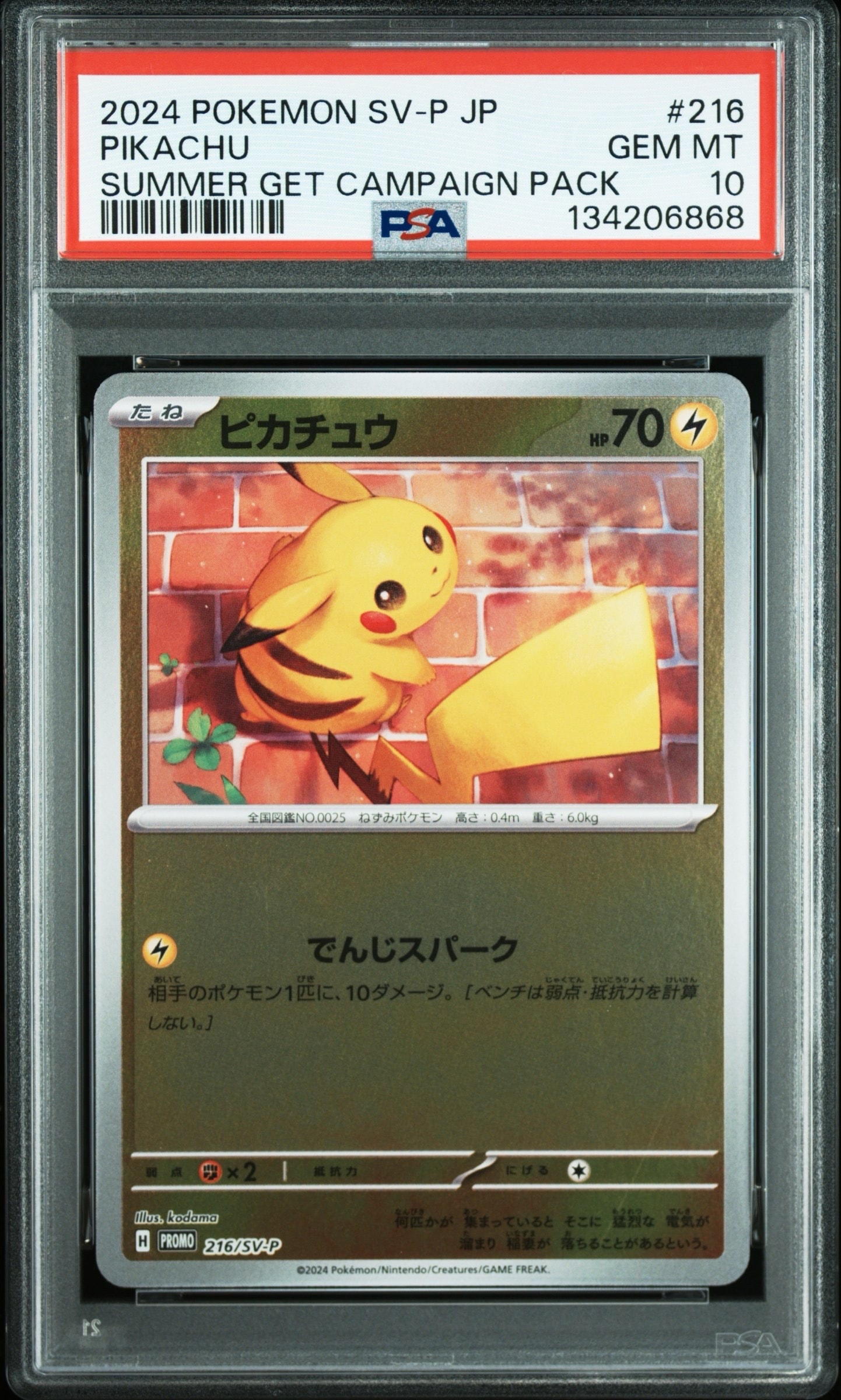 ピカチュウ P [SV-P 216](プロモカードパック「ポケカの夏がキタ!プロモカードGetキャンペーン!」)