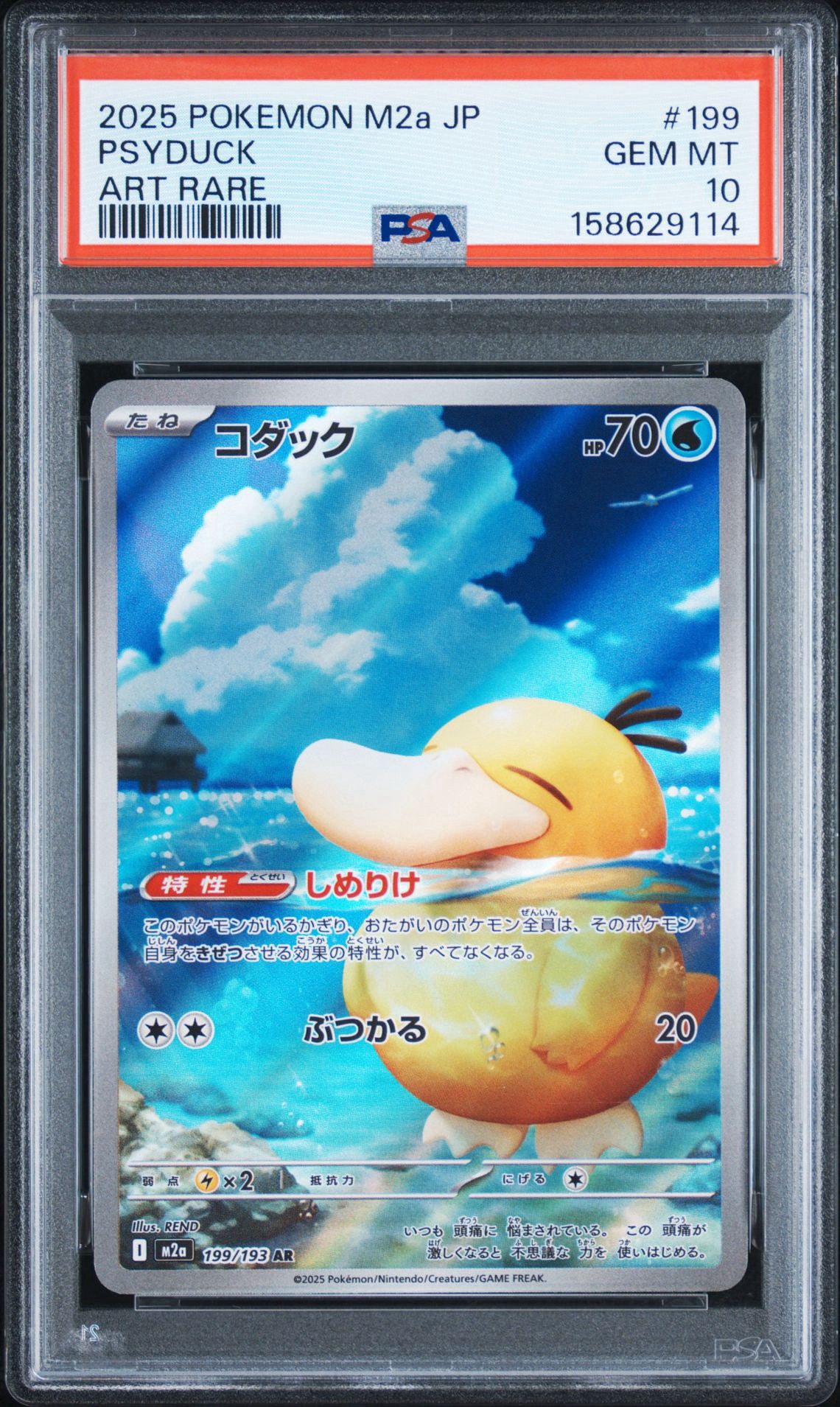 コダック AR [M2a 199/193](ハイクラスパック「MEGAドリームex」)