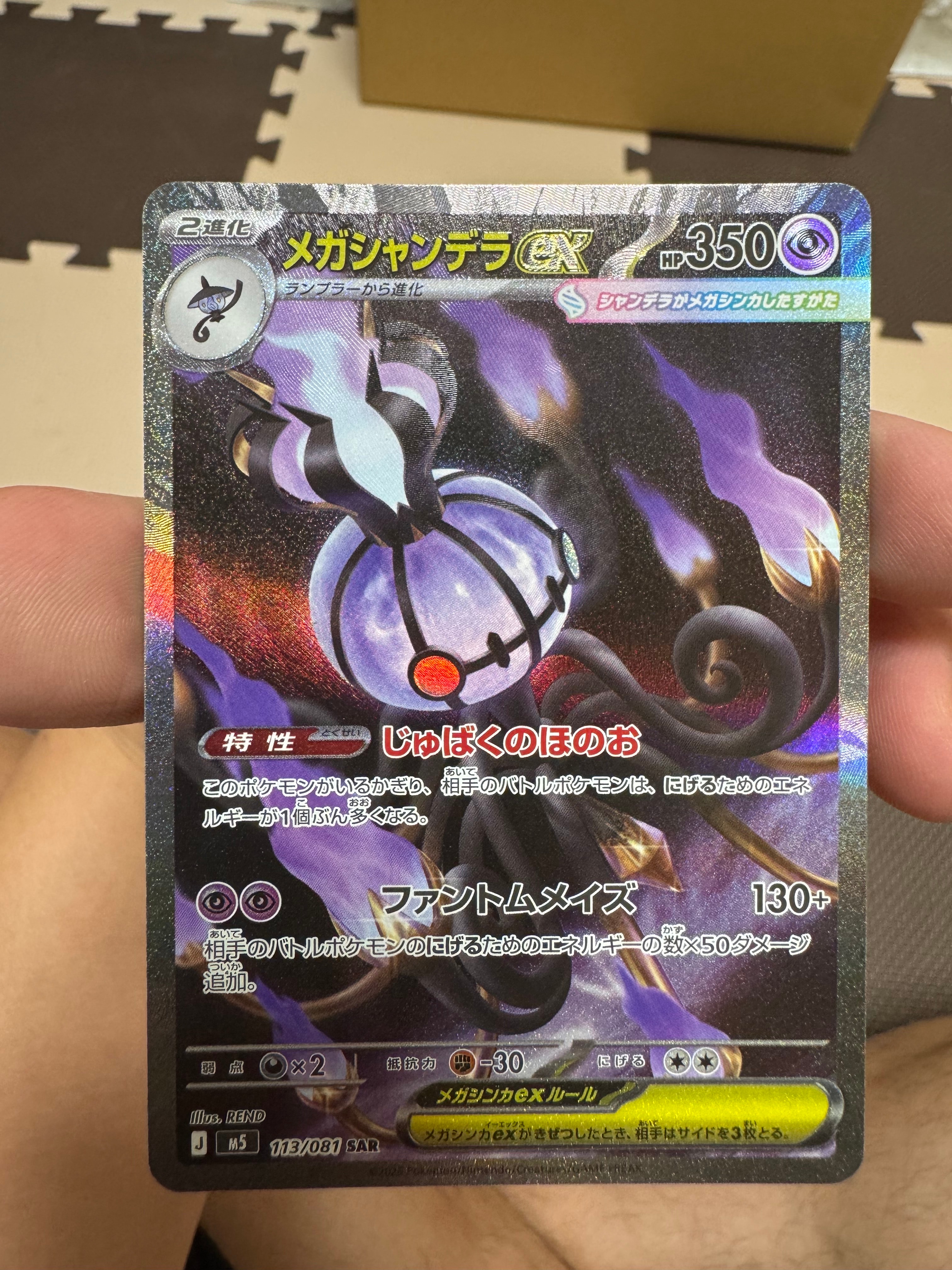 スイクン [PCG 003/009](ポケパークプレミアムファイル「ブルーシート