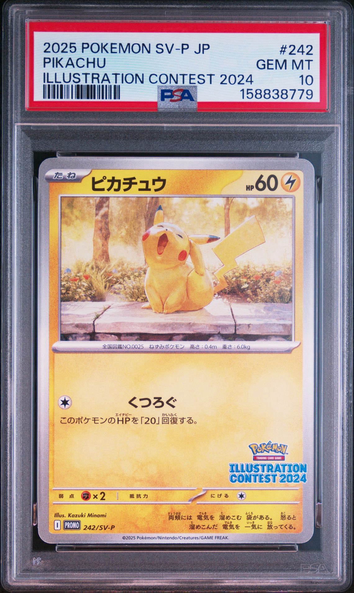 ピカチュウ [SV-P 242](プロモカードパック「イラストレーション