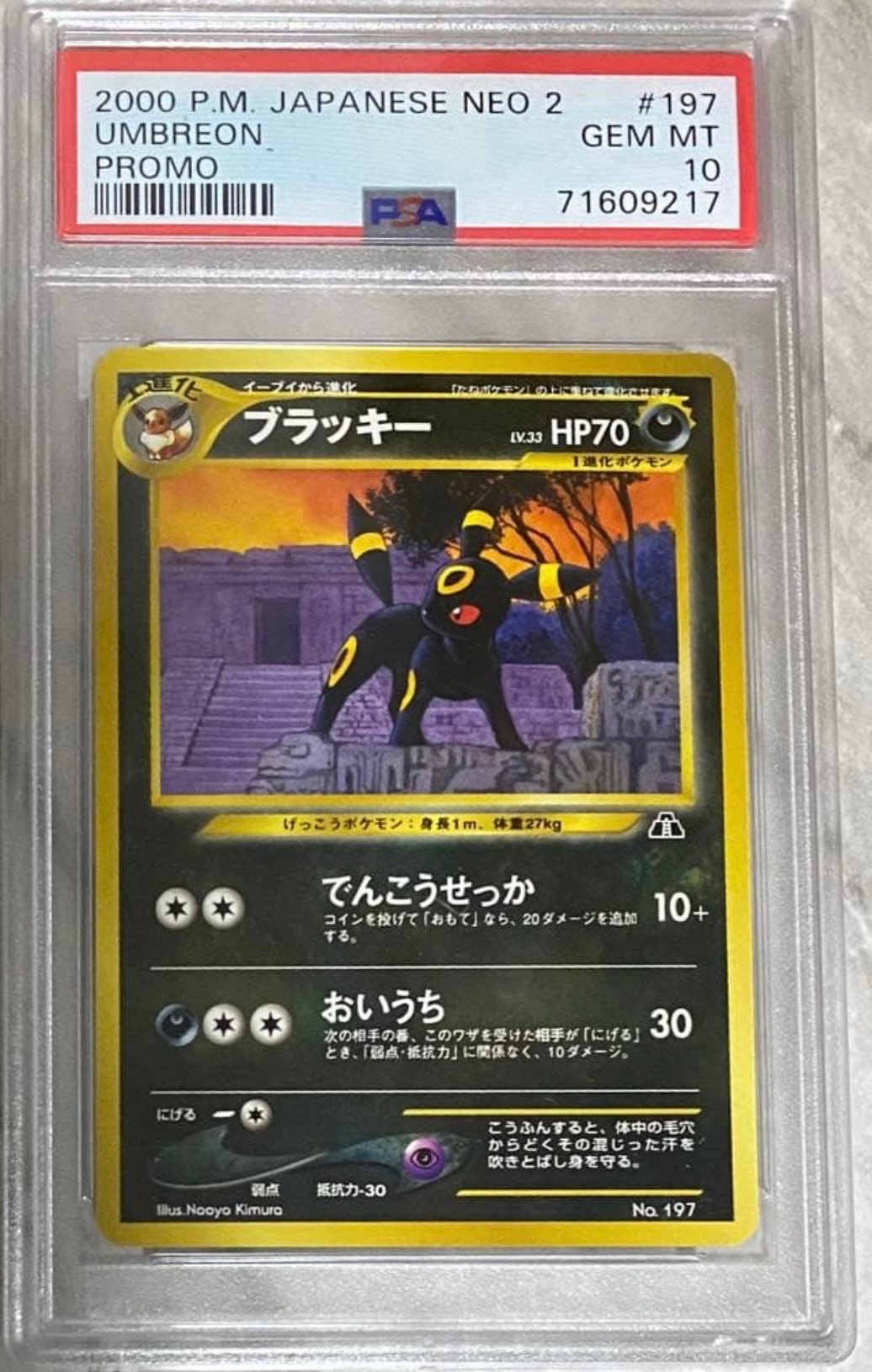 ブラッキープレミアムファイル2: 旧裏[neoP2 No.197](プレミアムファイル2)