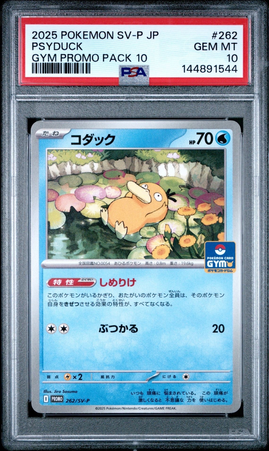 コダック P [SV-P 262](プロモカードパック「第10弾」)の新品/中古
