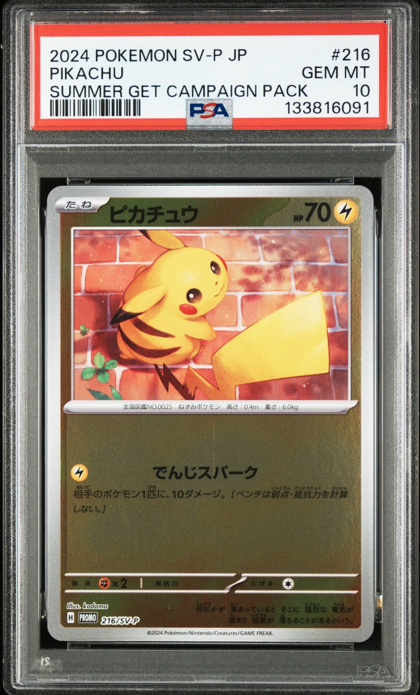 ピカチュウ P [SV-P 216](プロモカードパック「ポケカの夏がキタ!プロモカードGetキャンペーン!」)