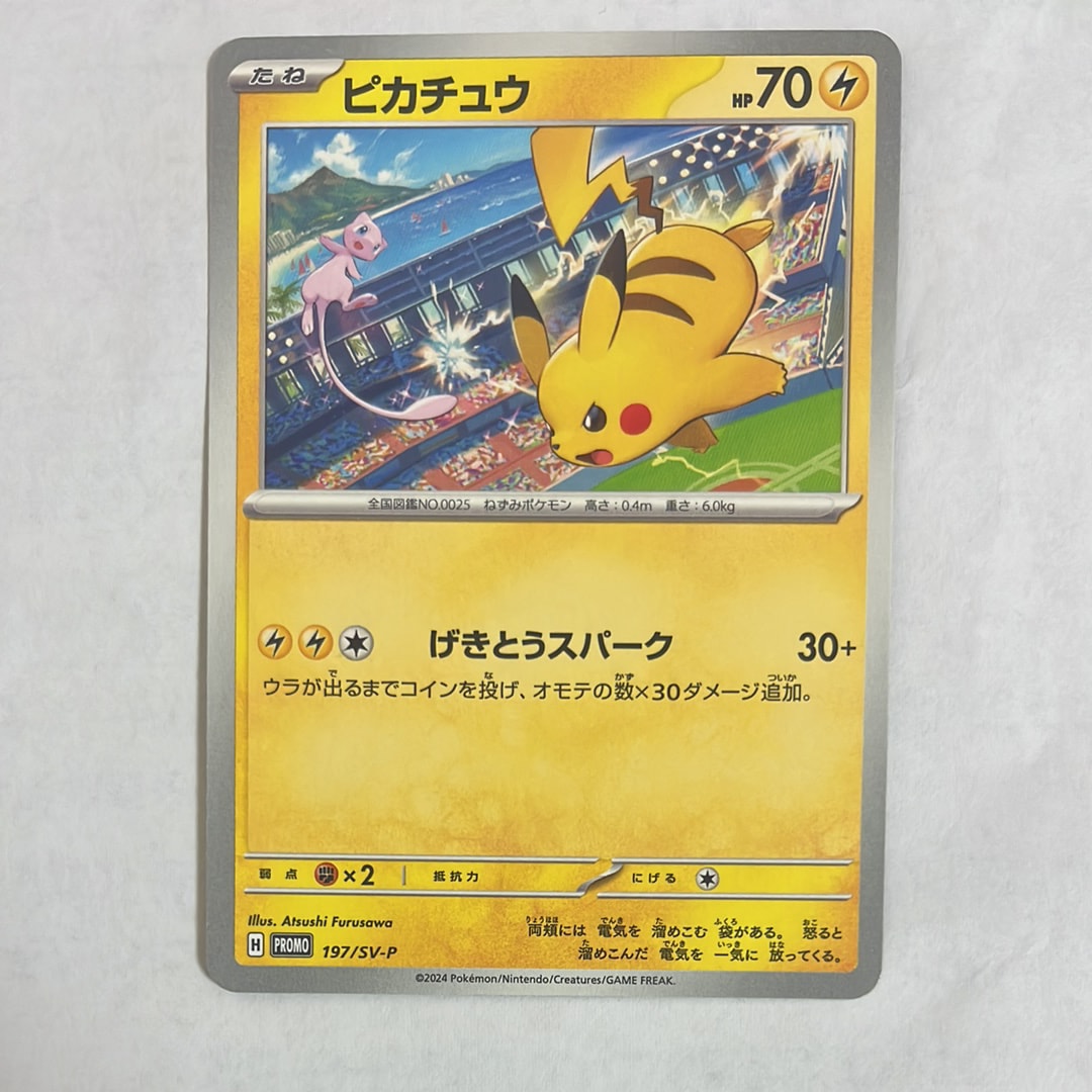 bruno pokemon card Amazon.com: Pokemon Limited Edition TCG: Random Cards from Every Series,  100 Cards in Each Lot : Toys & Games main image 0