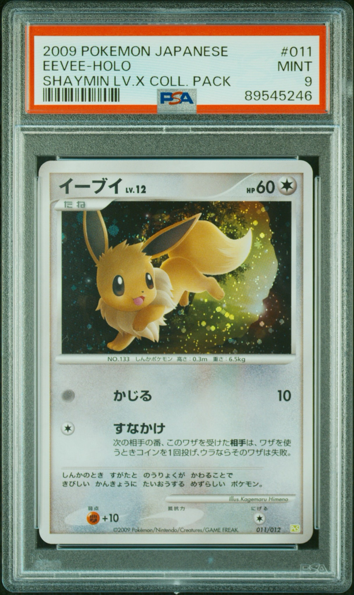 PSA10】ピカチュウ ○ : 旧裏 [PMCG1-2](拡張パック