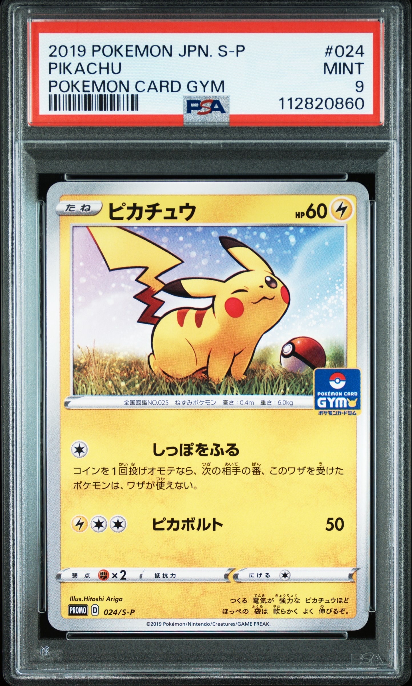 ピカチュウ: プロモ P [S-P 024](ポケモンカードゲーム ソード&シールド 「プロモカードパック 第1弾」)