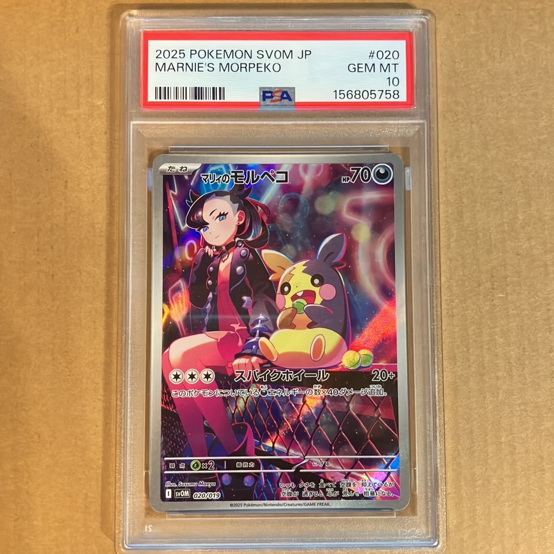 PSA10】マリィのモルペコ [SVOM 020/019](スターターセットex「マリィ