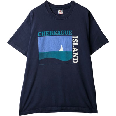 古着 90年代 フルーツオブザルーム FRUIT OF THE LOOM プリントTシャツ USA製 メンズXL相当 ヴィンテージ/eaa636645