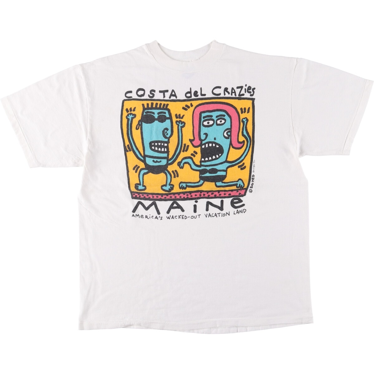 古着 90年代 ヘインズ Hanes BEEFY-T プリントTシャツ USA製 メンズL相当 ヴィンテージ/eaa563370