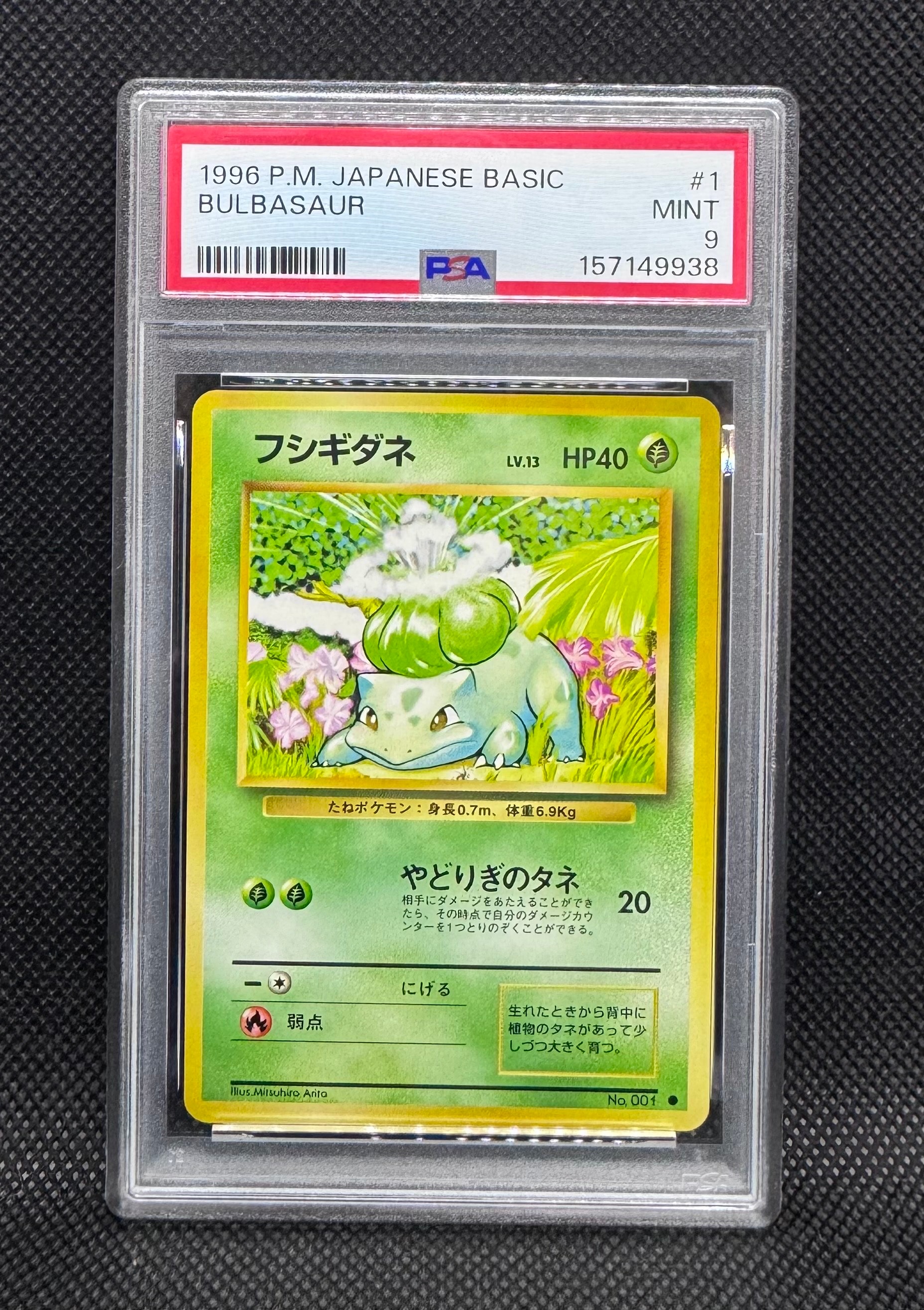 フシギダネ ○ : 旧裏 [PMCG1-2](拡張パック「ポケットモンスター