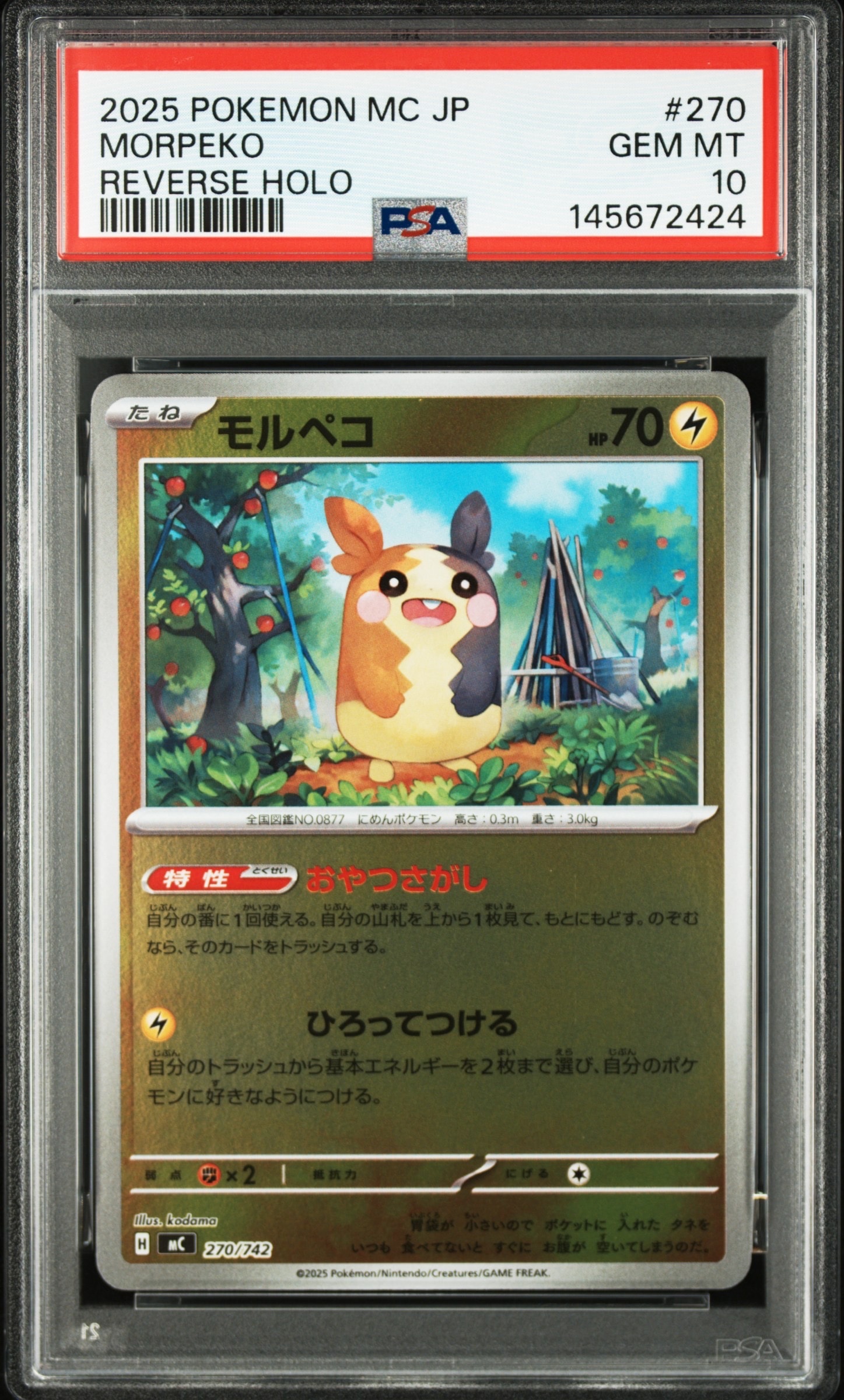 レシラム&リザードンGX RR [SM12a 016/173](ハイクラスパック「TAG