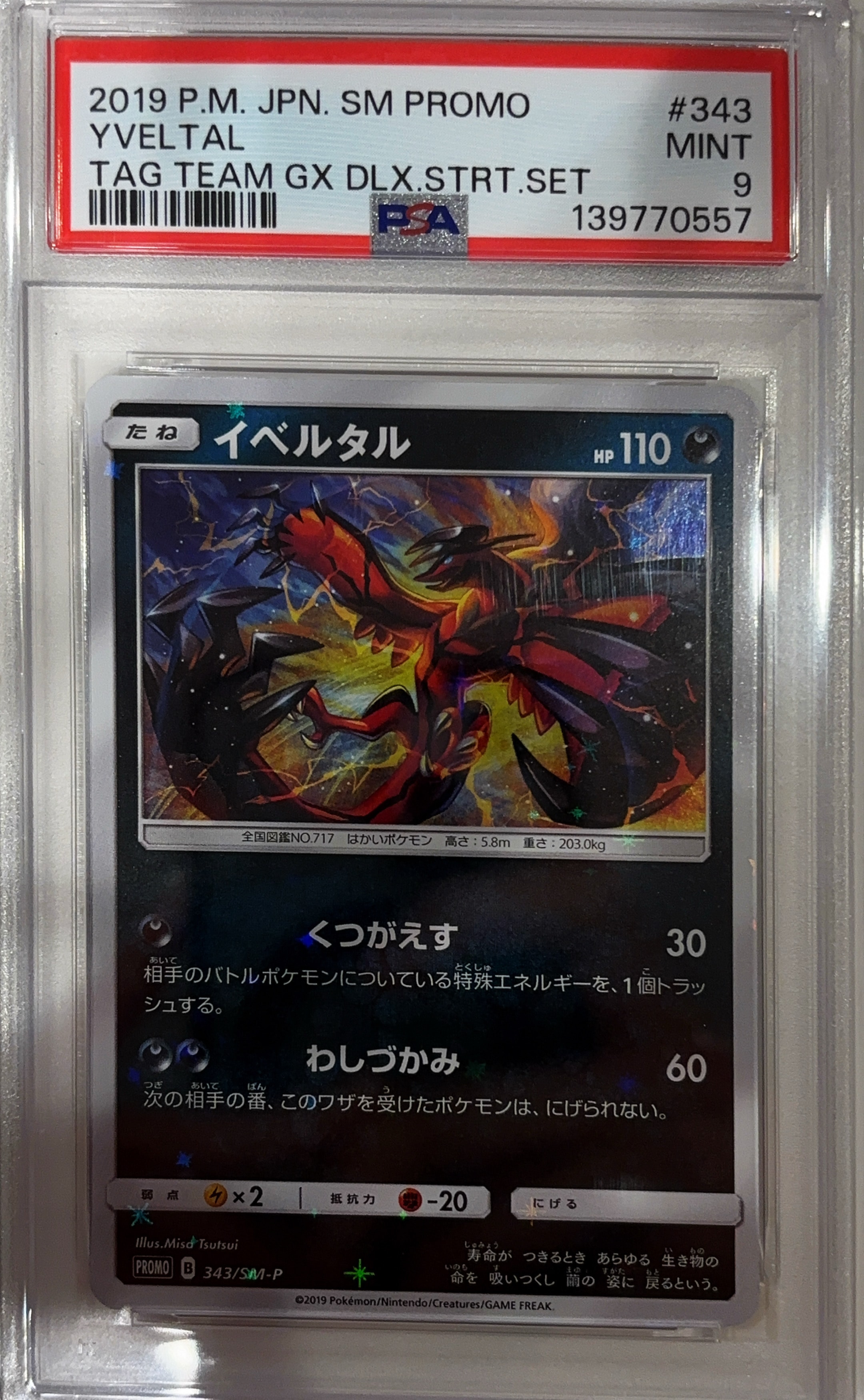 イベルタル P [SM-P 343](プロモーションカード「TAG TEAM GX