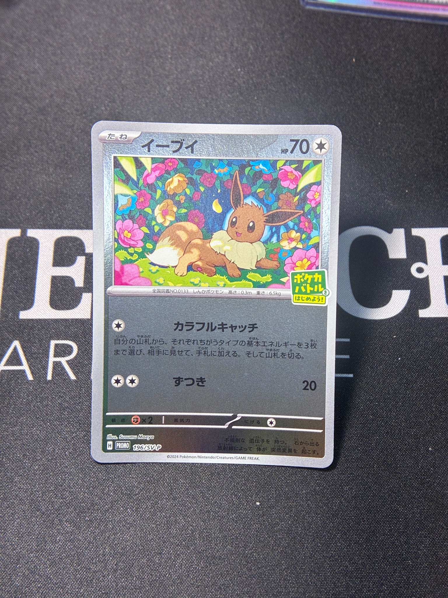 イーブイ P [SV-P-SM 196](プロモカードパック「ポケカバトルをはじめ
