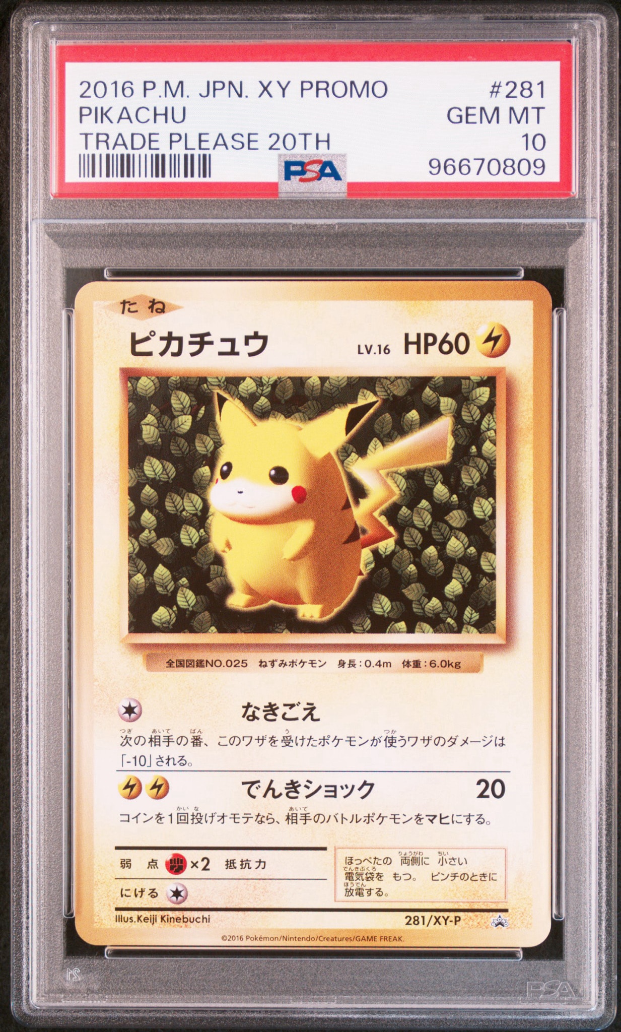 ピカチュウ: プロモ[XY-P 281/XY-P](プロモーションカード「XY-P」)