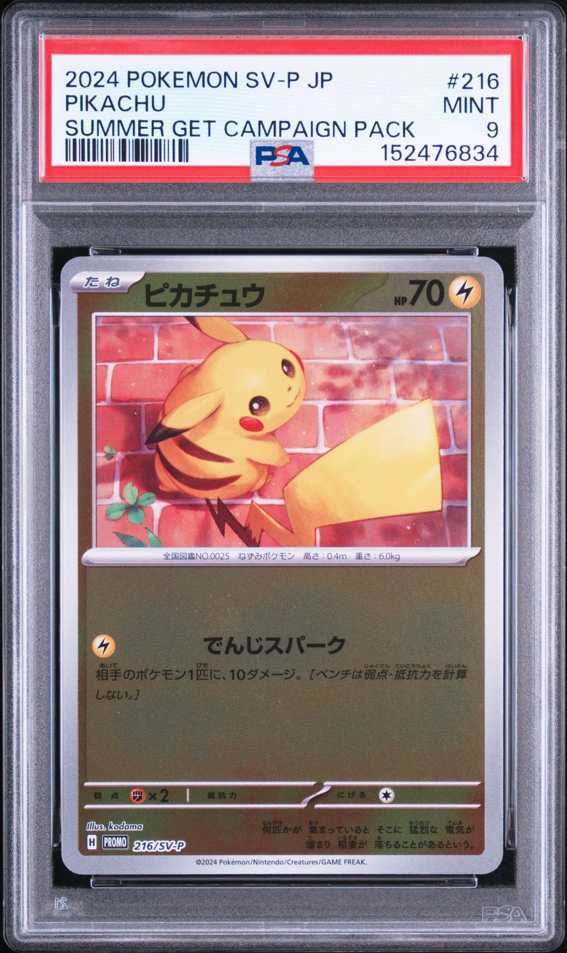 PSA9】ピカチュウ P [SV-P 216](プロモカードパック「ポケカの夏がキタ