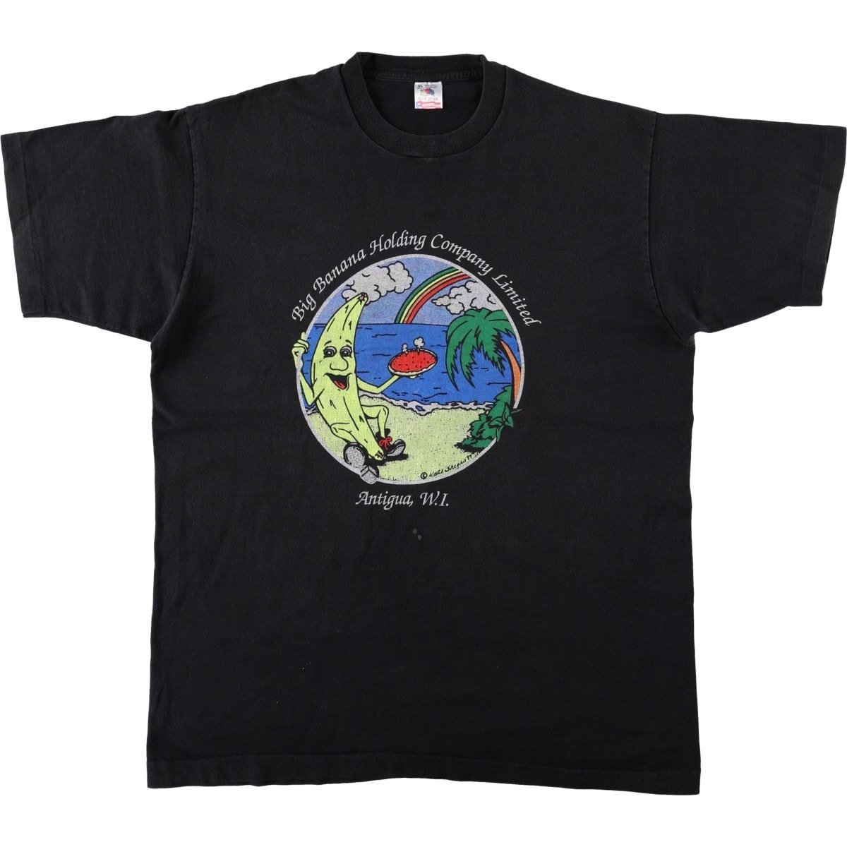 古着 90年代 フルーツオブザルーム FRUIT OF THE LOOM アドバタイジングTシャツ USA製 メンズXL相当/eaa667270
