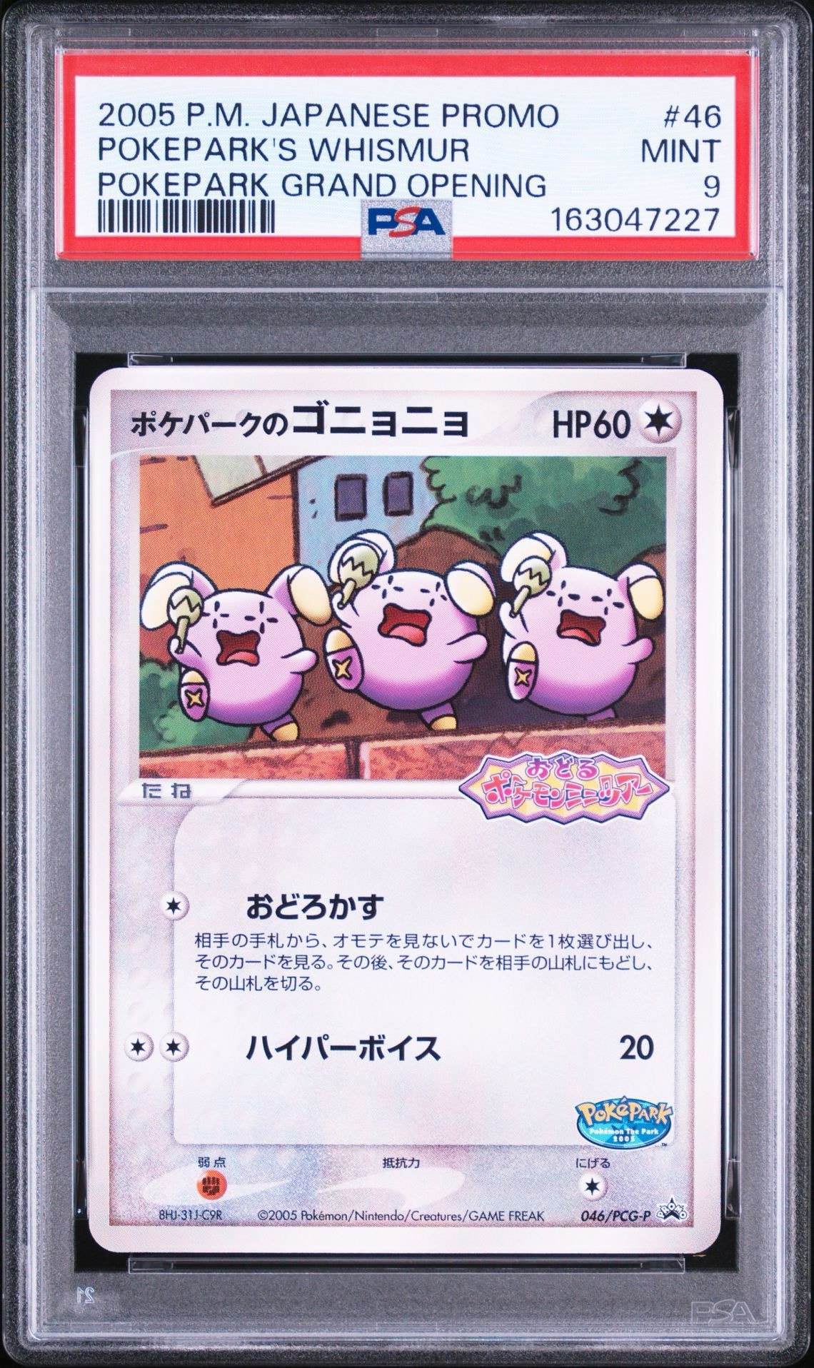 ポケパークのゴニョニョ P [PCG-P 046](プロモーションカード「ポケパーク ルギアのくるくるシップ」)