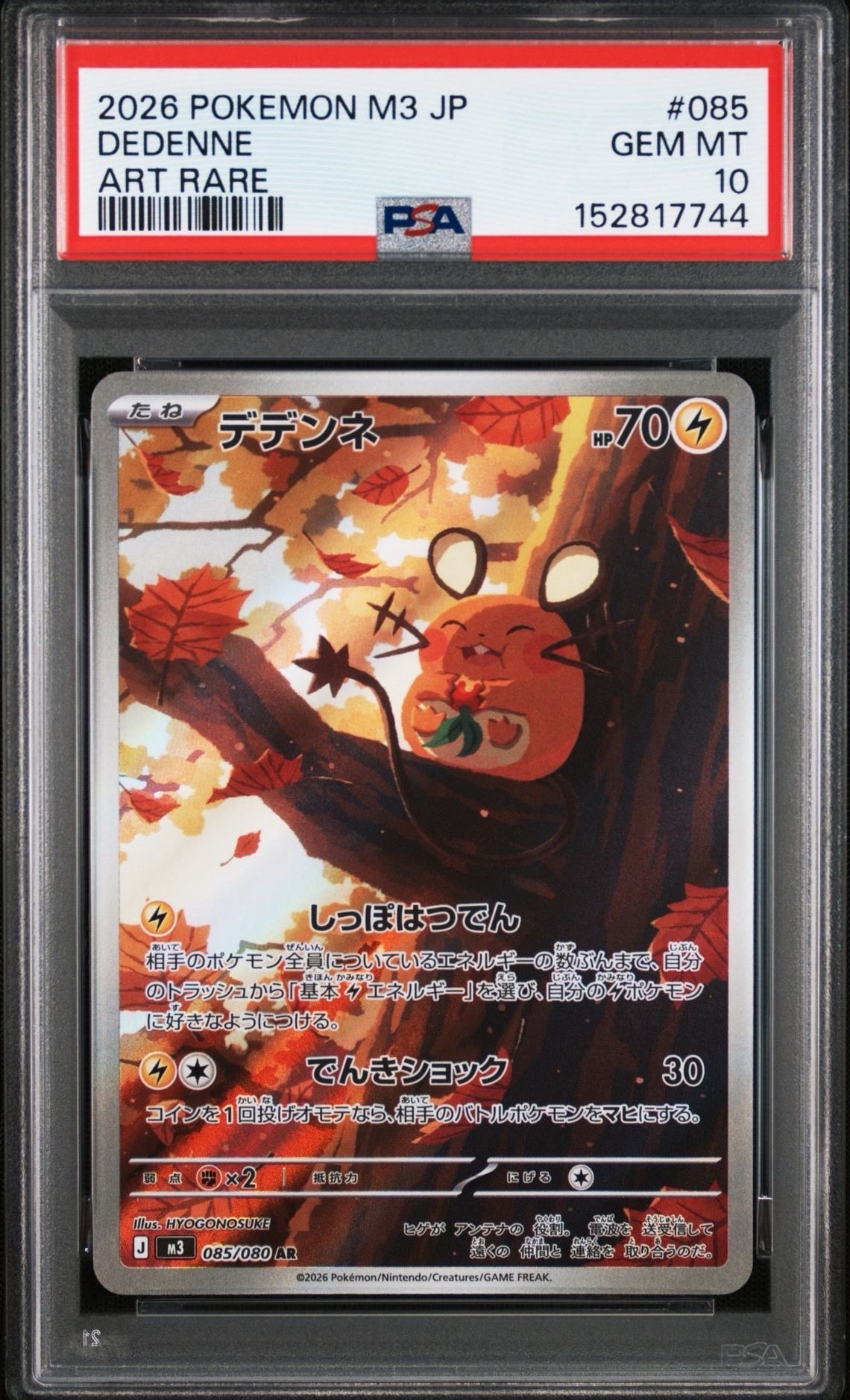 デデンネ AR [M3 085/080](拡張パック「ムニキスゼロ」)の新品/中古