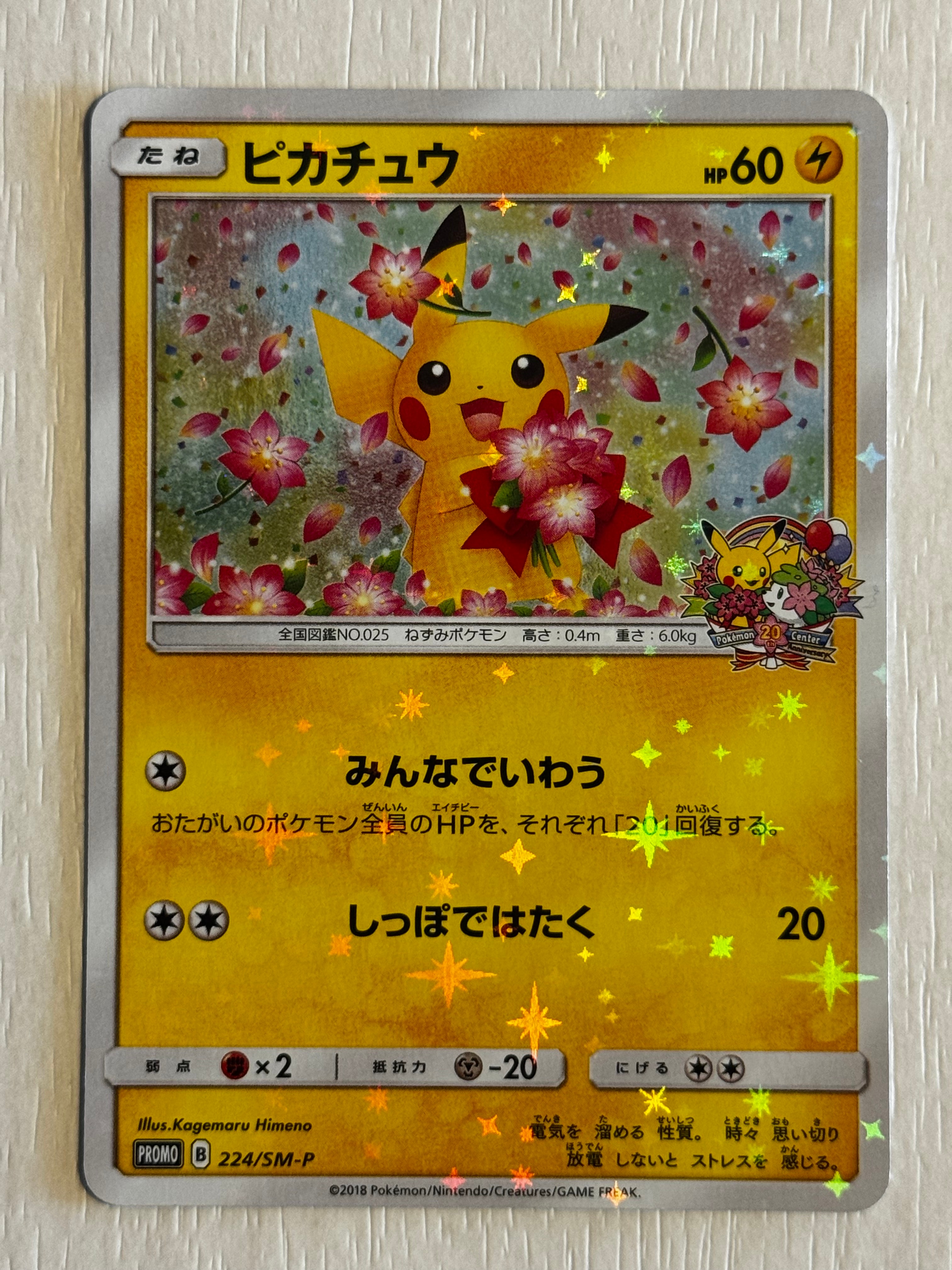 PSA10】ピカチュウ: プロモ[SM-P 224](プロモーションカード「SM-P