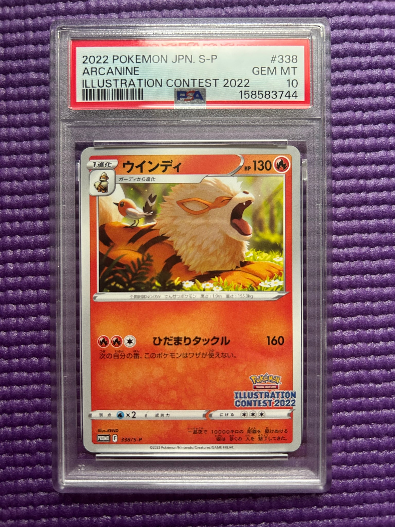 Arcanine PROMO[PROMO338/S-P](Promotional Cards "Pokemon Centers / Pokemon Stores / Pokemon Center Online Bonus for purchases over 2000 yen")