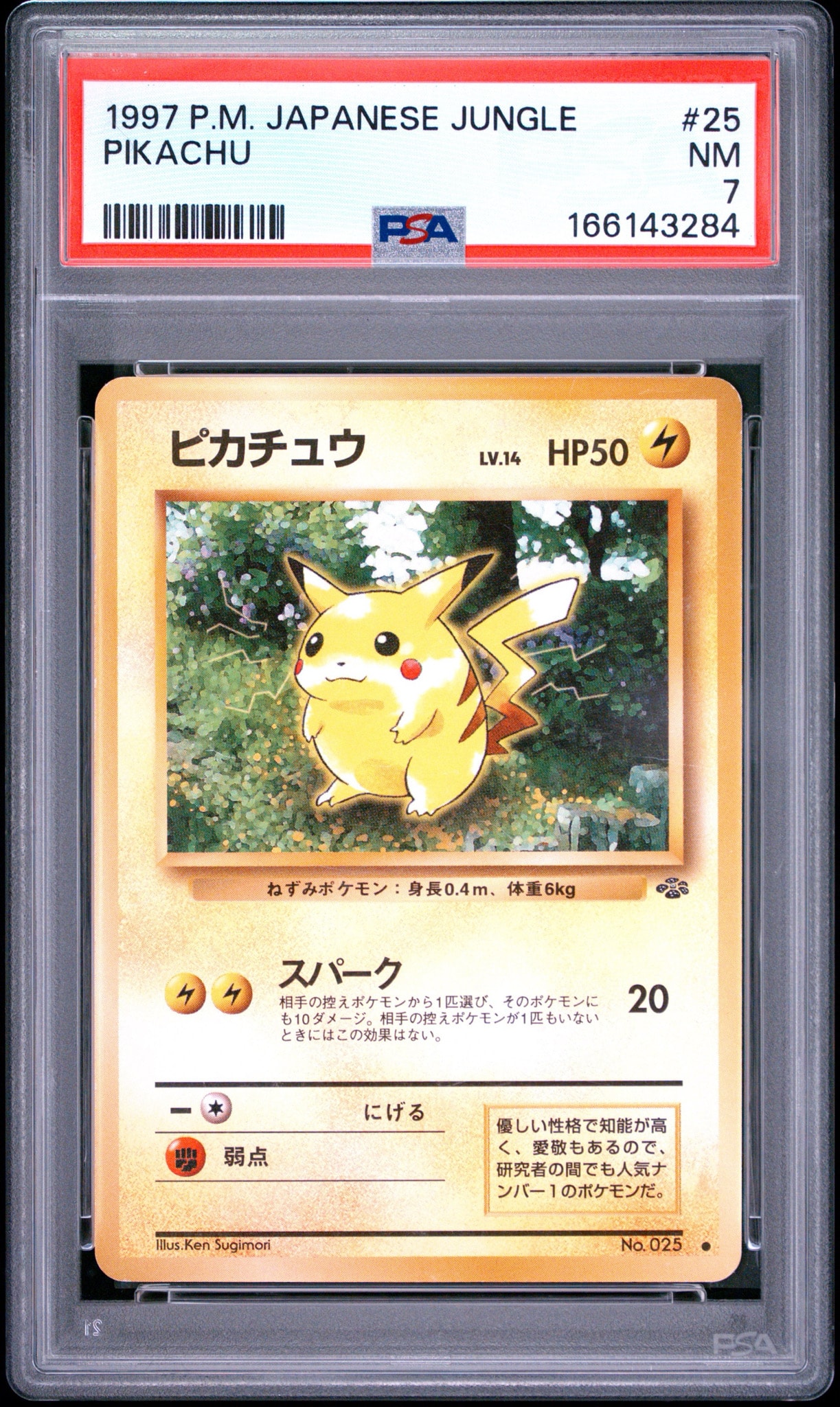 ピカチュウ ● : 旧裏 [PMCG2 No.025](拡張パック「ポケモンジャングル」)
