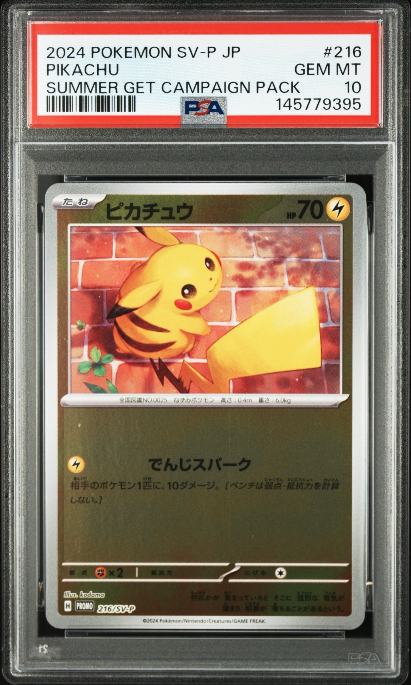 PSA10】ピカチュウ P [SV-P 216](プロモカードパック「ポケカの夏が