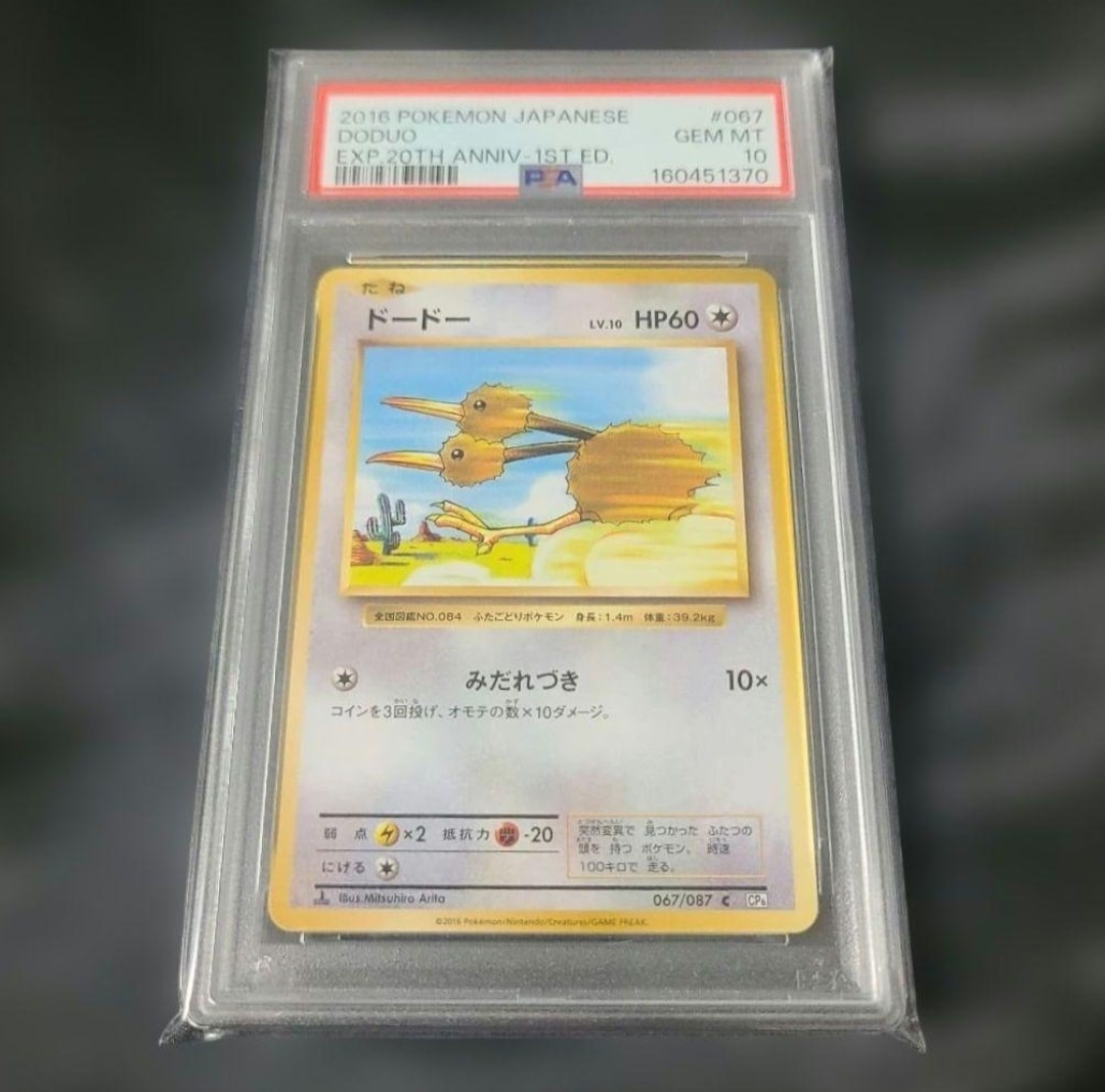 ドードー C :1ED [CP6 067/087](コンセプトパック「ポケットモンスターカードゲーム 拡張パック 20th Anniversary」)