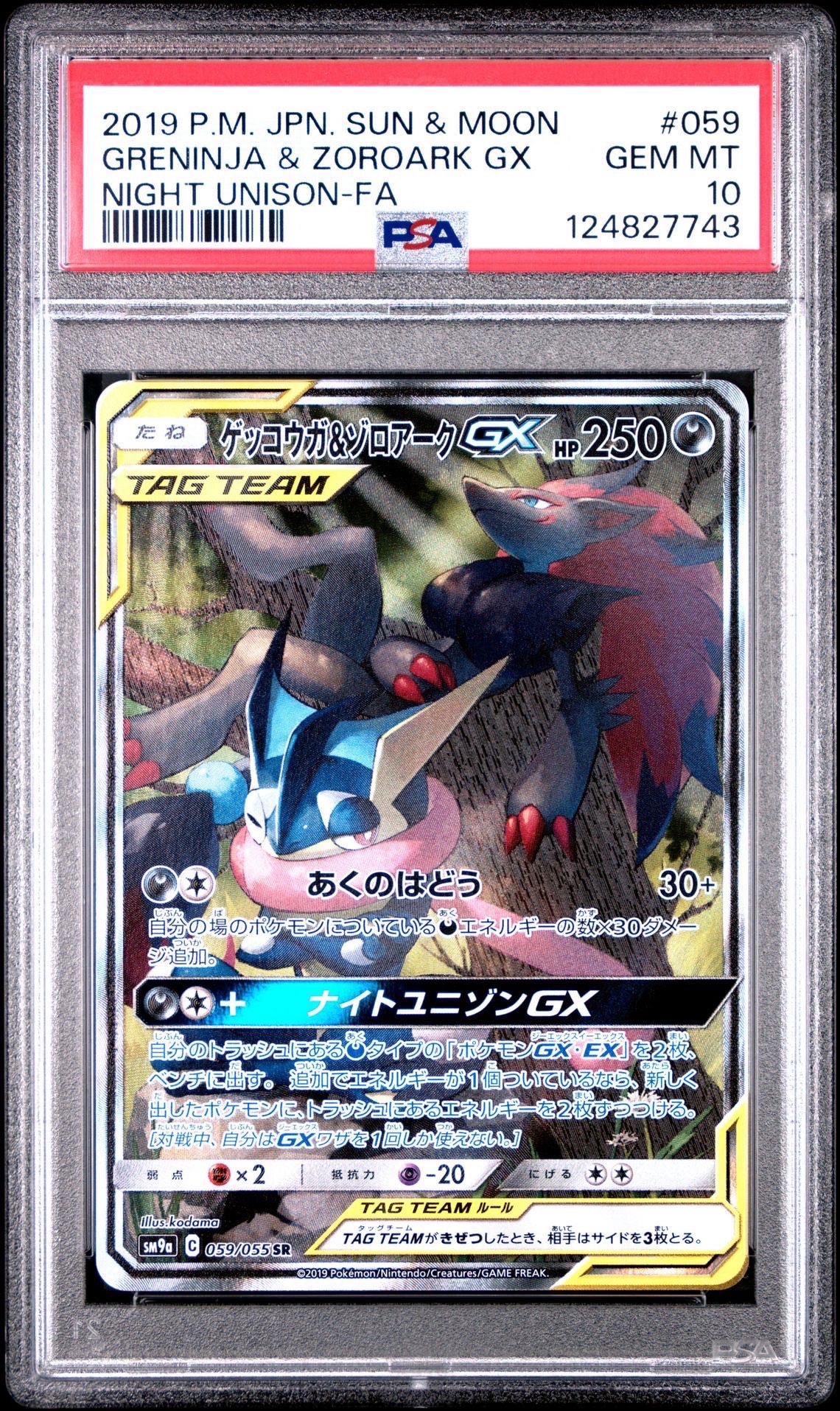 ゲッコウガ&ゾロアークGX SR: SA[SM9a 059/055](強化拡張パック「ナイトユニゾン」)