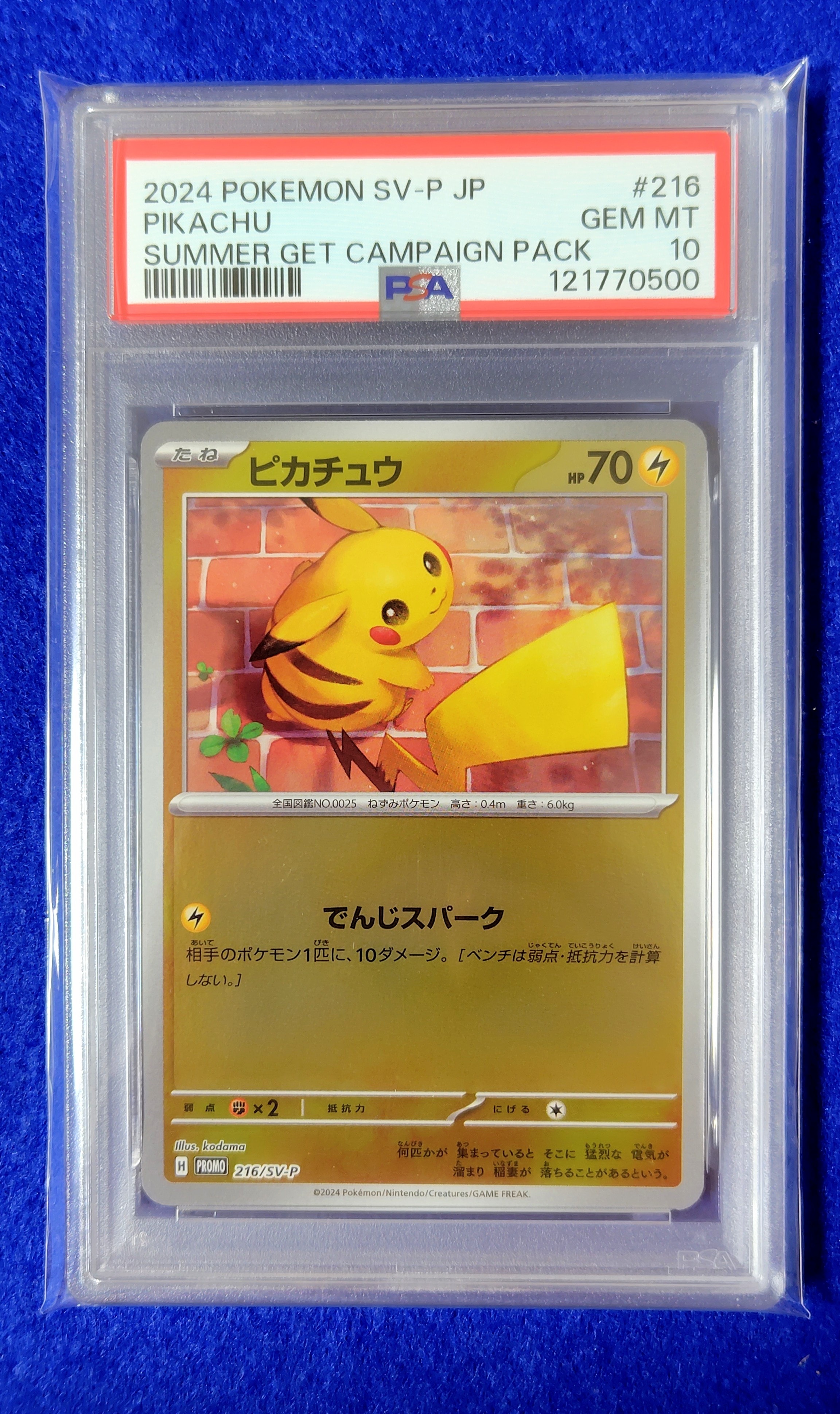 ピカチュウ P [SV-P 216](プロモカードパック「ポケカの夏がキタ!プロモカードGetキャンペーン!」)
