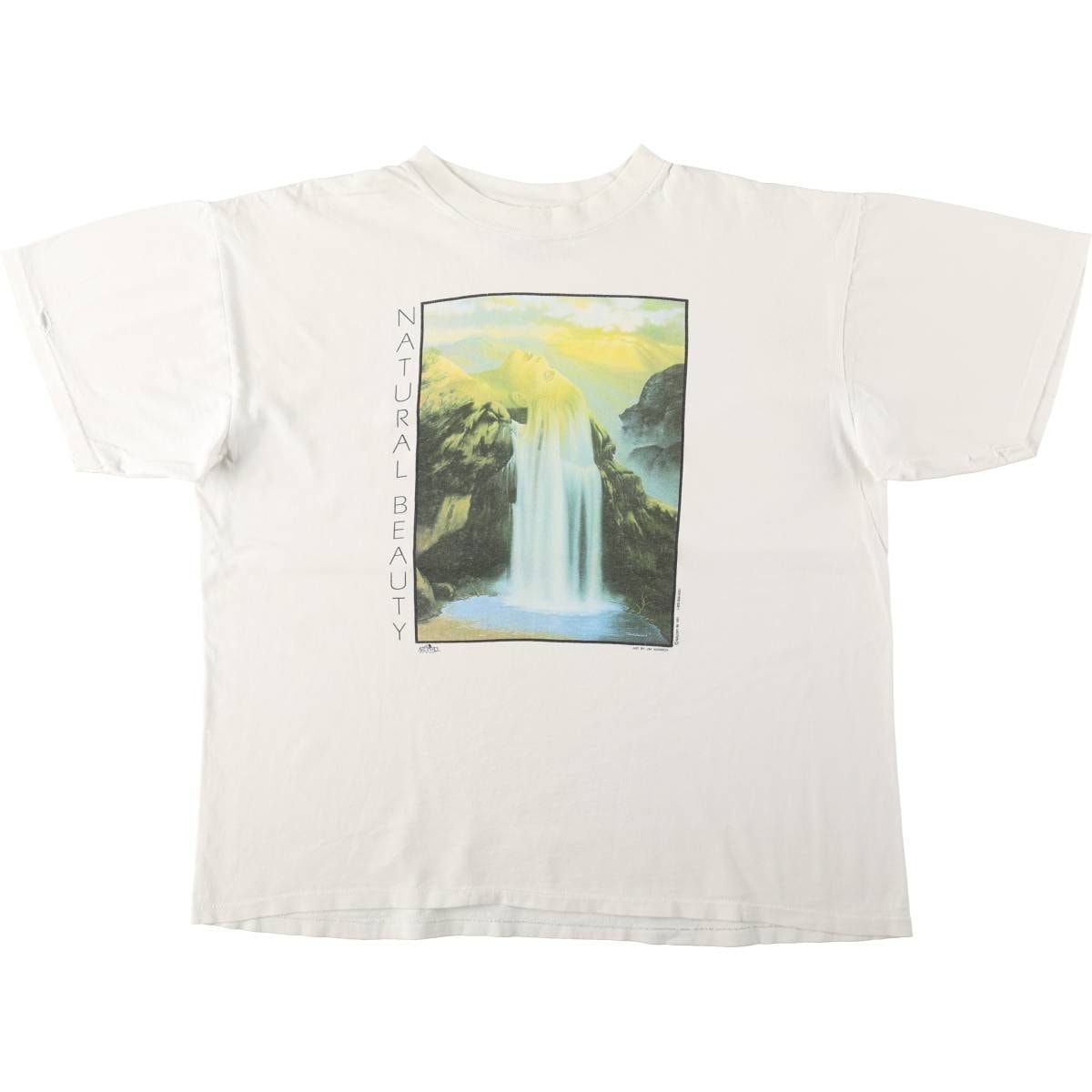 古着 90年代 オニータ ONEITA JIM WARREN ジムウォーレン アートTシャツ メンズXL相当 ヴィンテージ/eaa661928